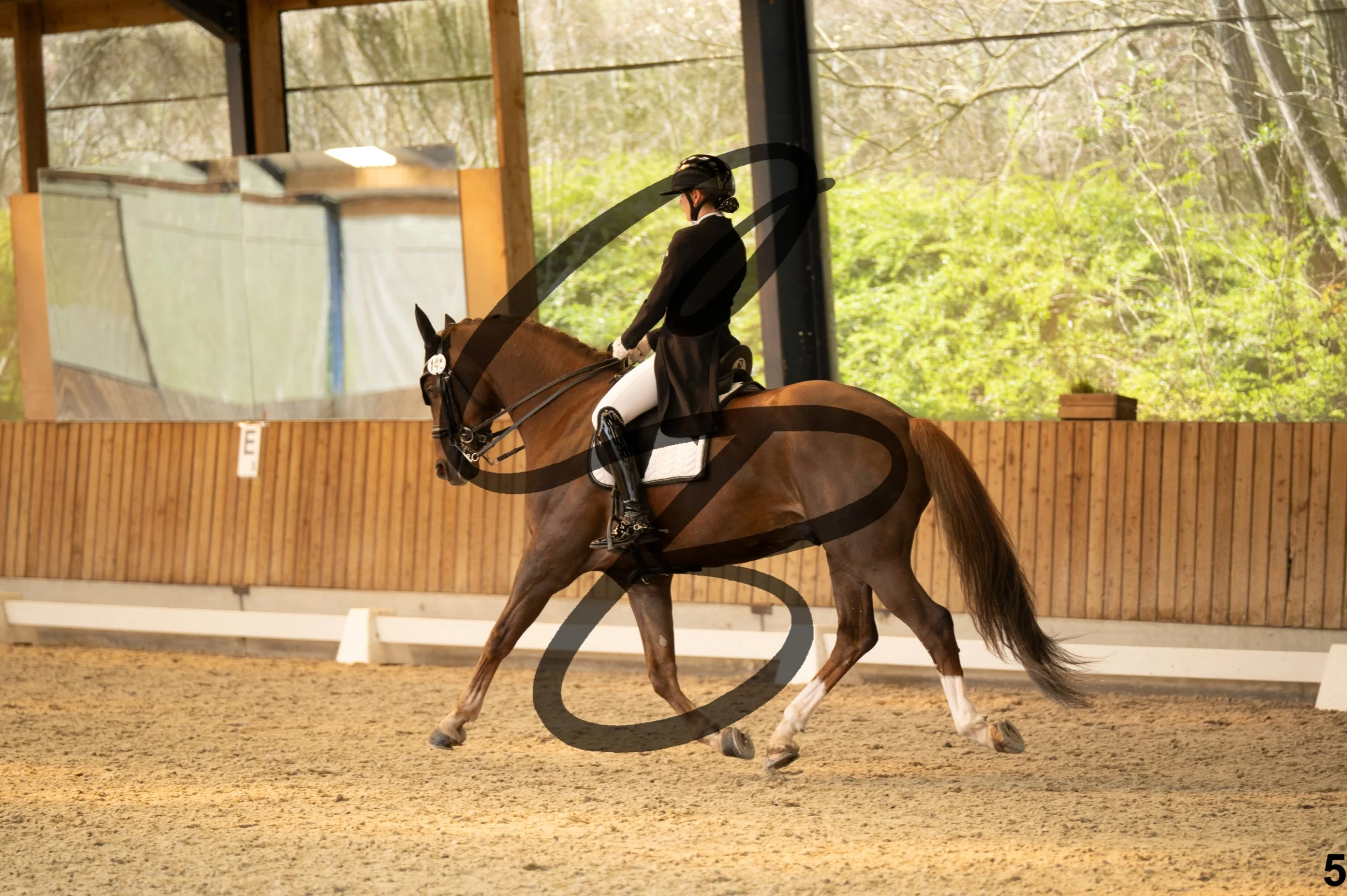 2026.03.22 - Niv4 - Junior individual test-5.jpg