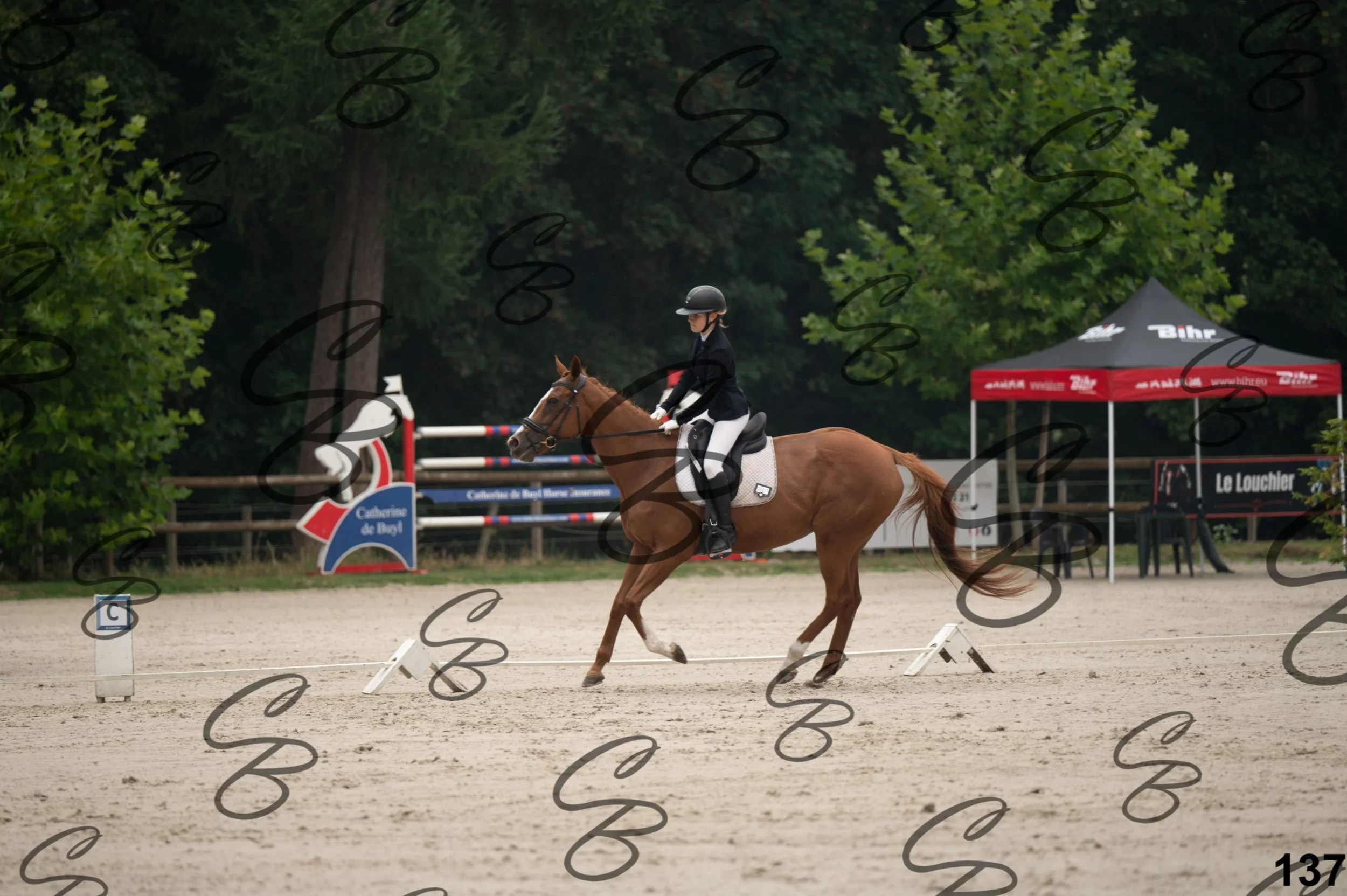 2026.08.15 - Louchier - GHO-213.jpg