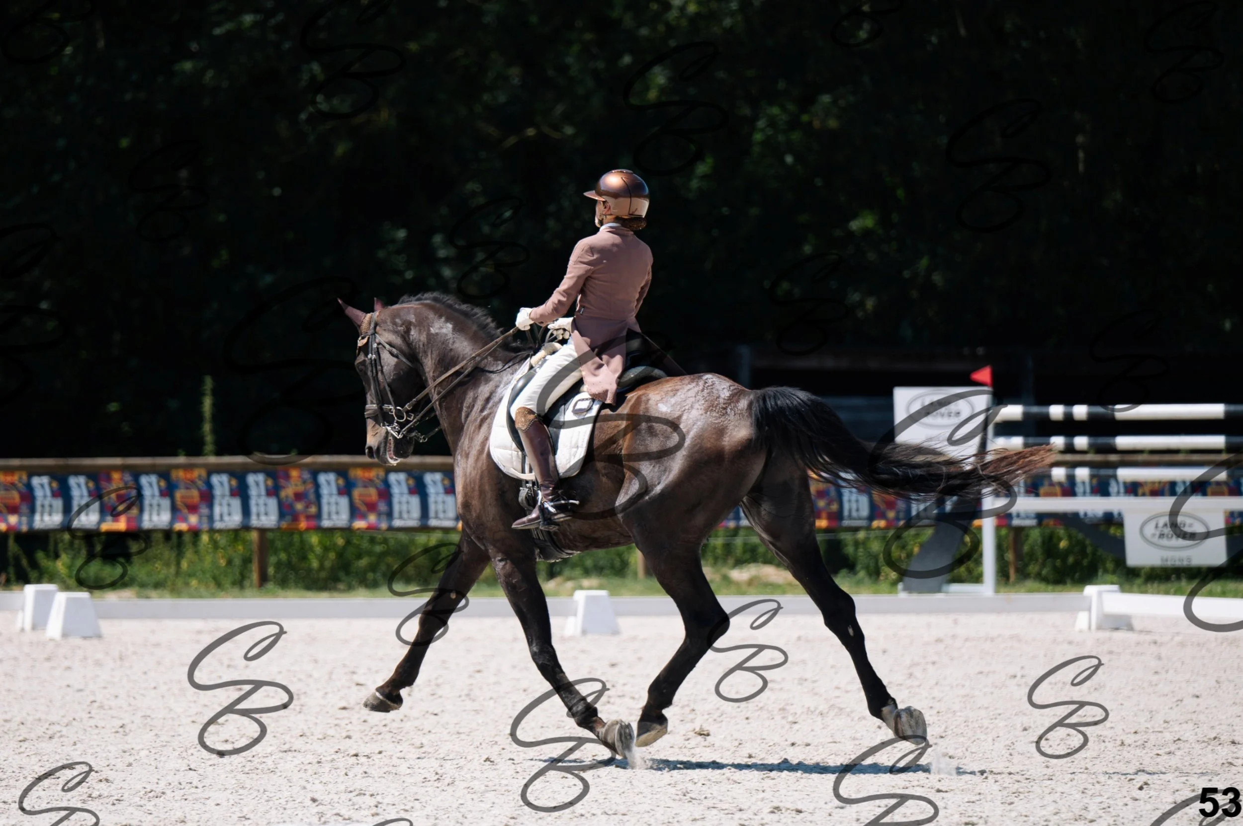 2026.07.12 - Niveau 5 - S3-53.jpg