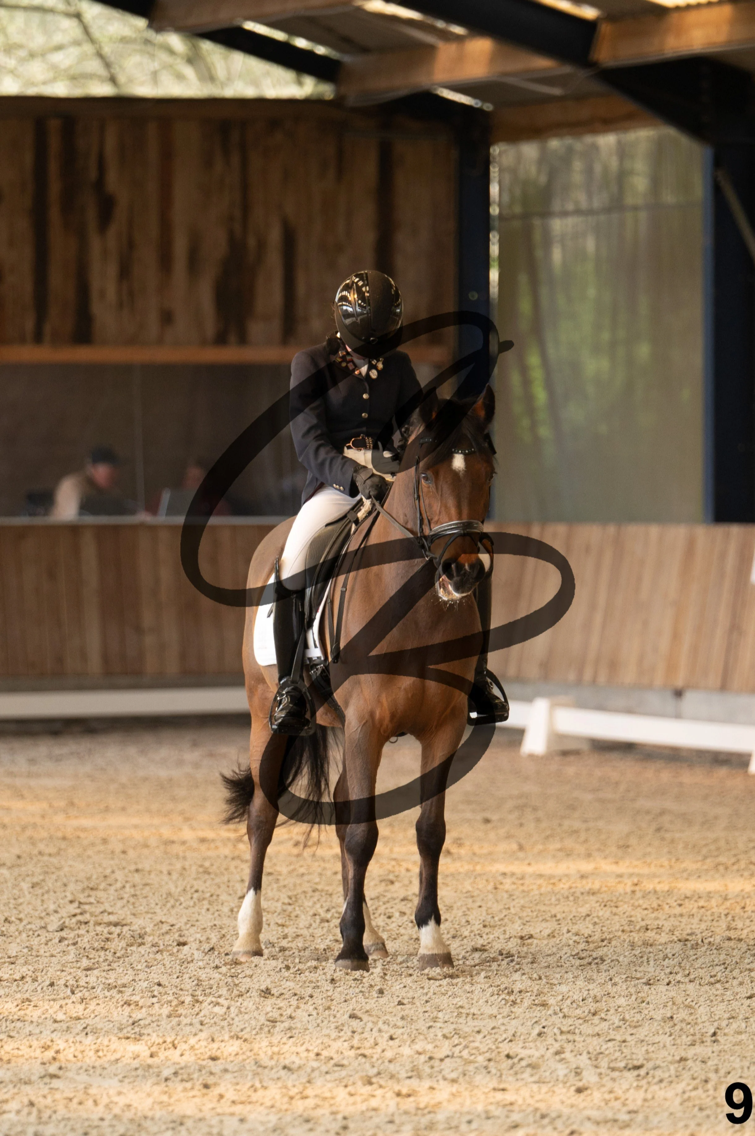 2026.03.22 - Niv3 - pony team test-9.jpg