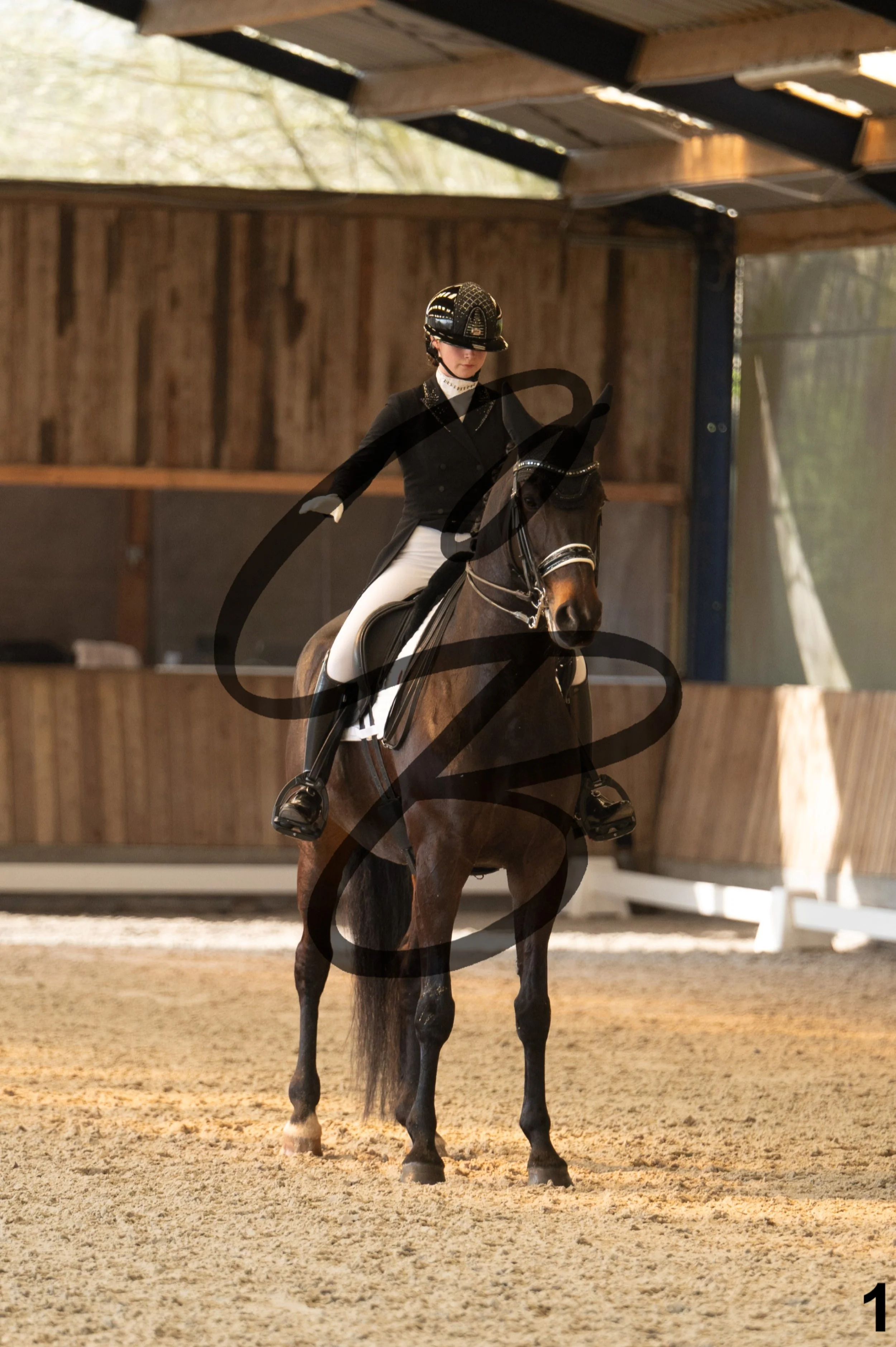 2026.03.22 - Niv5 - Young rider team-1.jpg