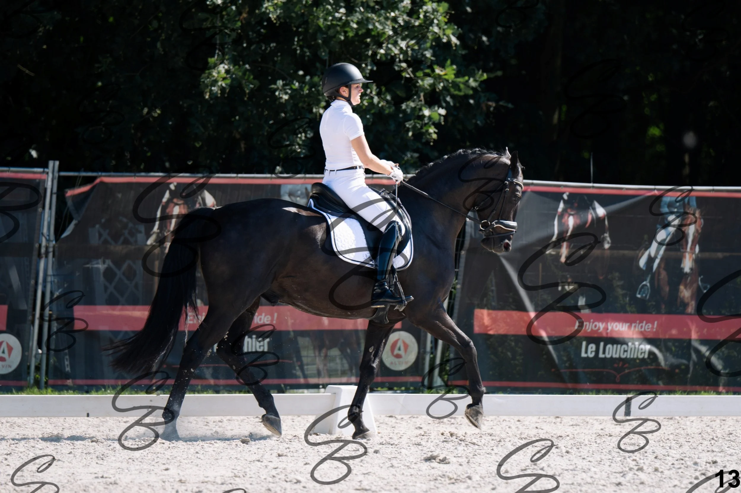 2026.07.12 - Jeunes chevaux - FEI 5YH Preliminary Test-13.jpg
