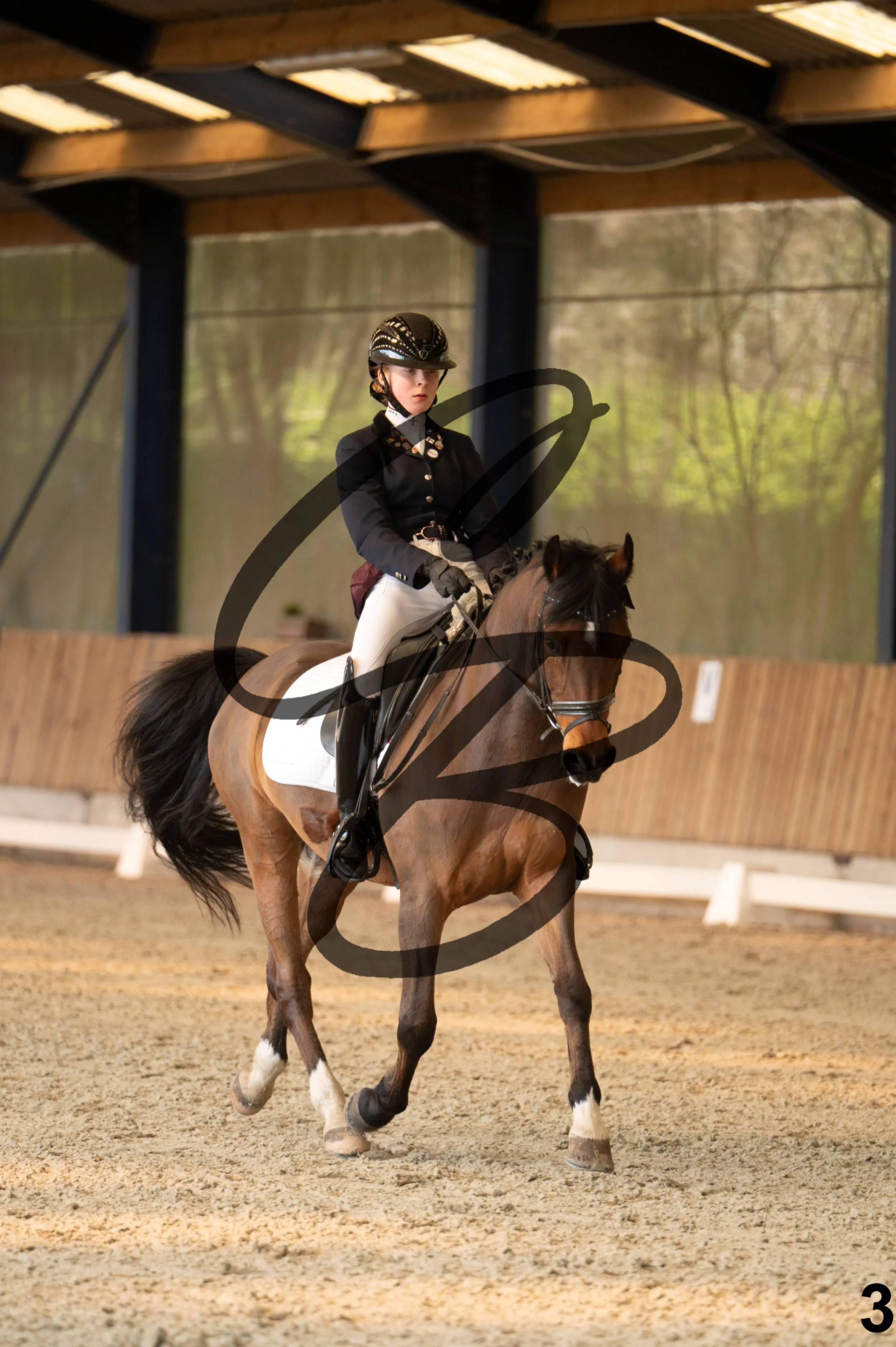 2026.03.22 - Niv3 - pony team test-3.jpg