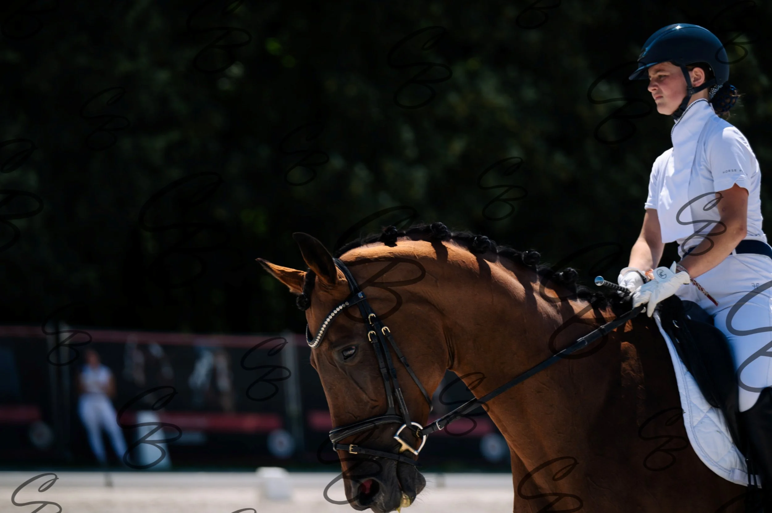 2026.07.12 - Niveau 1 - N1.5-47.jpg