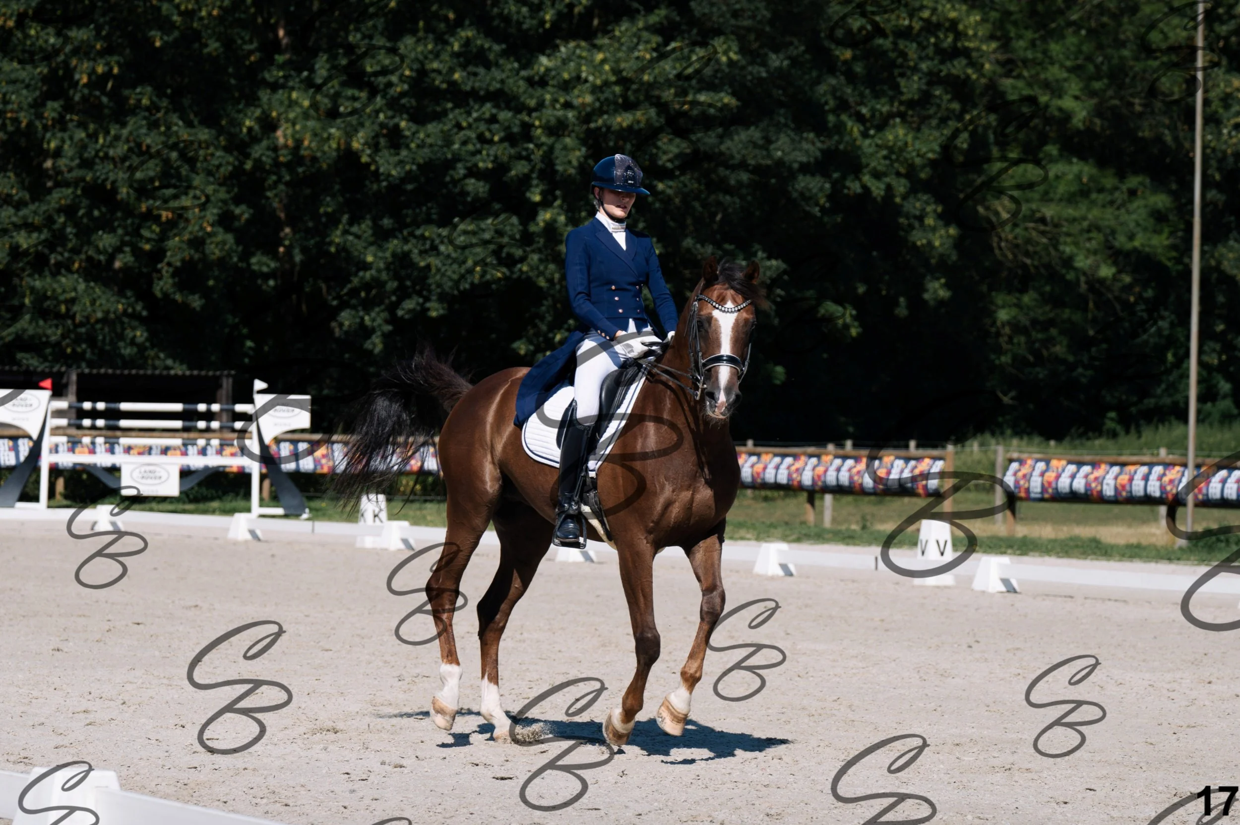2026.07.12 - 22 Young Rider - Niveau 4 - FEI Young Rider Team Test-17.jpg