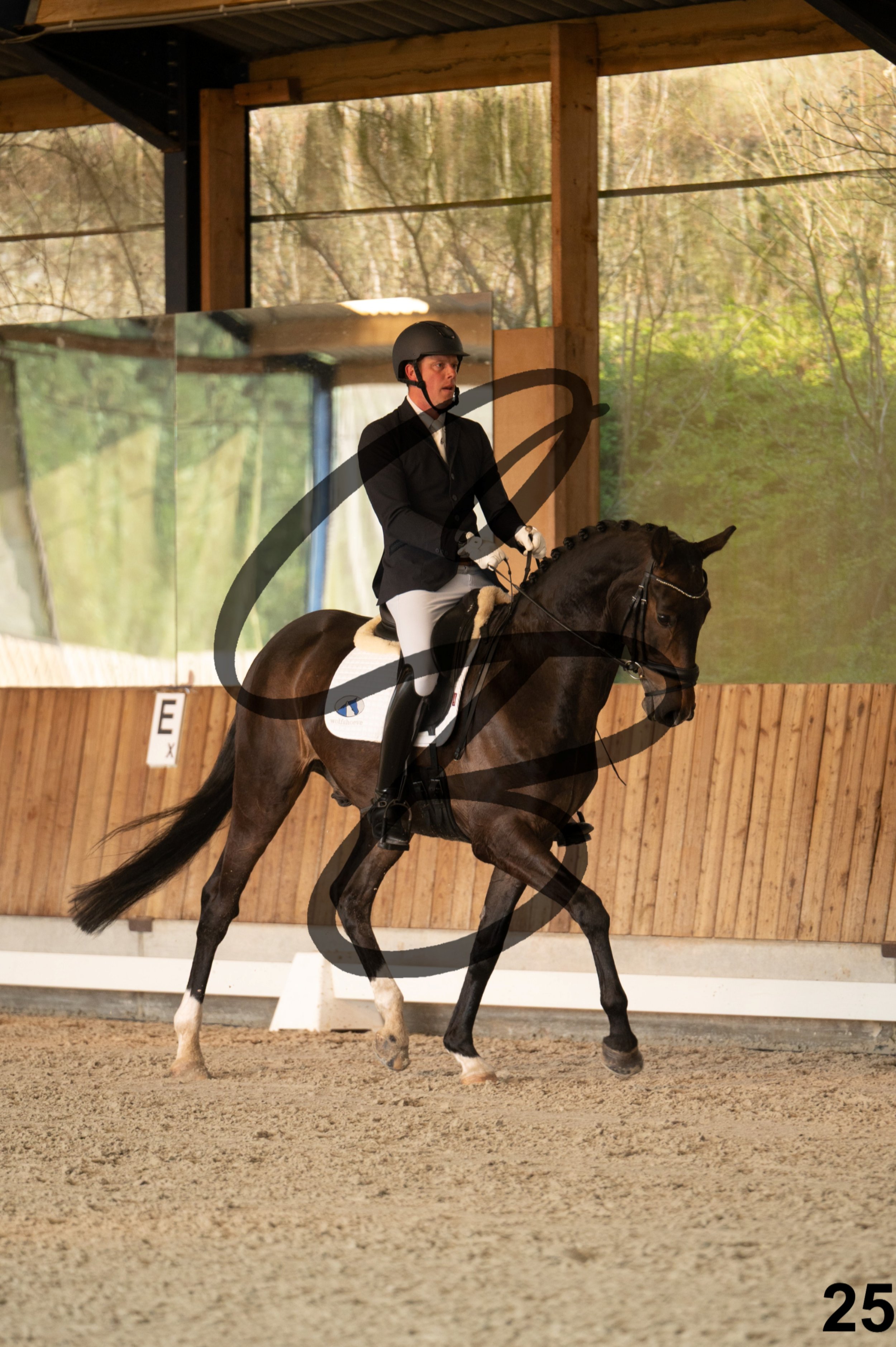 2026.03.22 - jeunes chevaux - 6ans-25.jpg