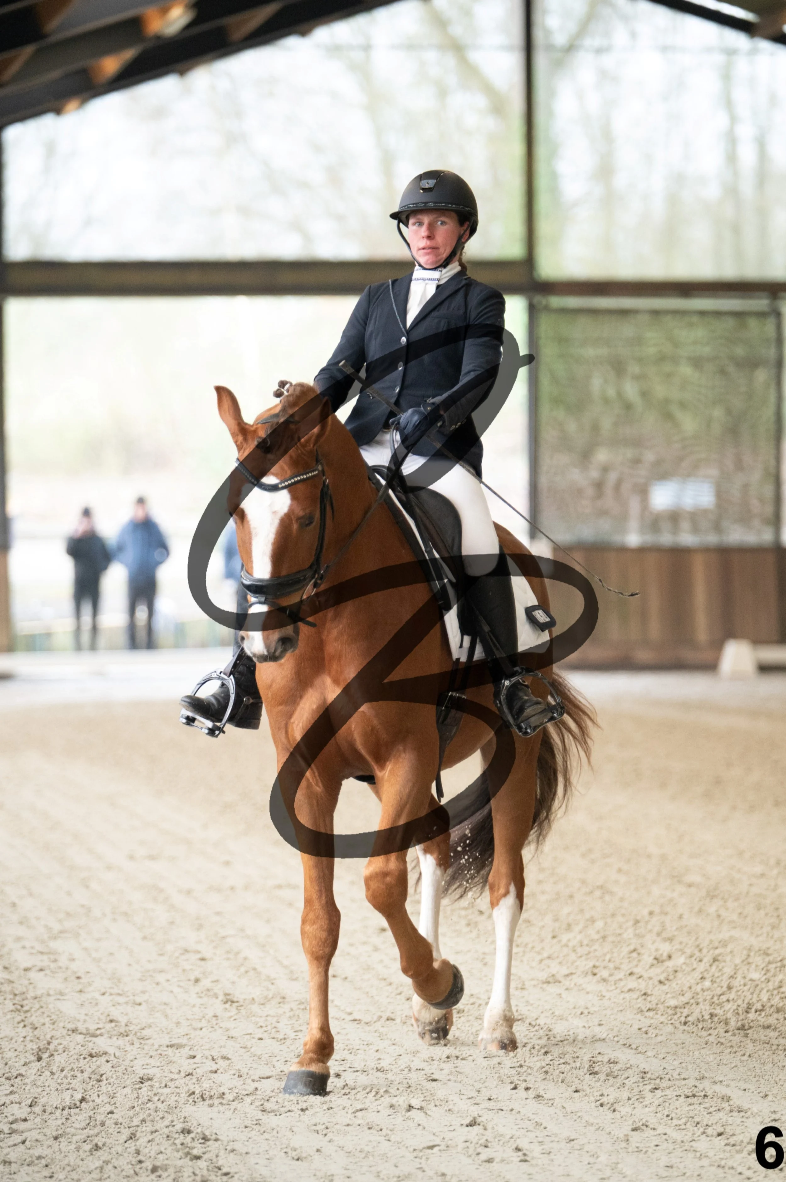 2026.03.22 - jeunes chevaux - 5ans-6.jpg