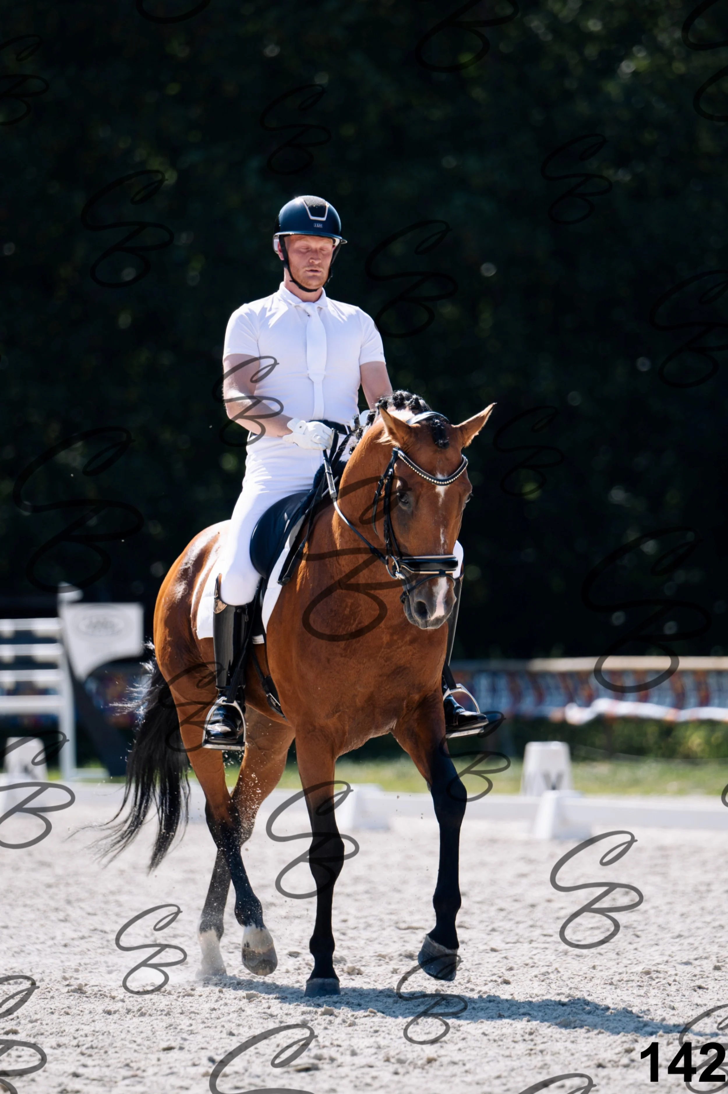 2026.07.12 - Niveau 2 - N2.4-142.jpg