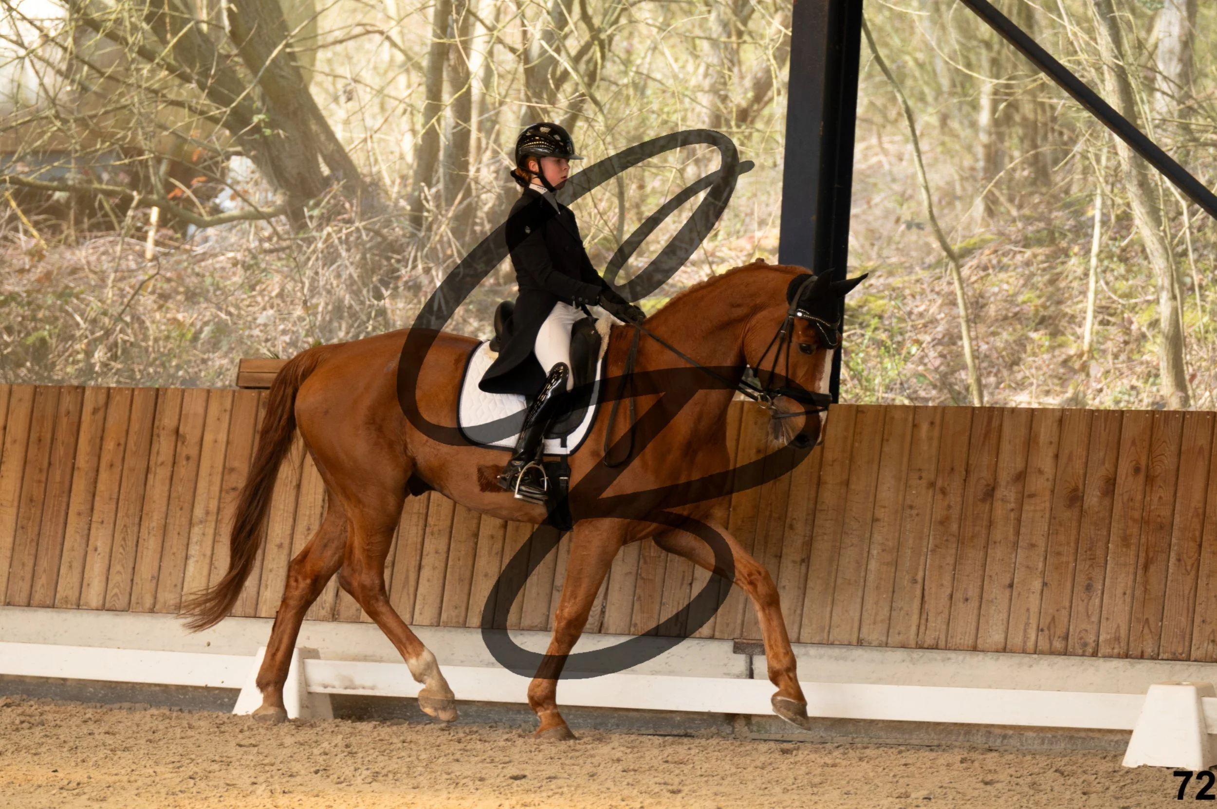 2026.03.22 - Niv4 - junior team test-72.jpg