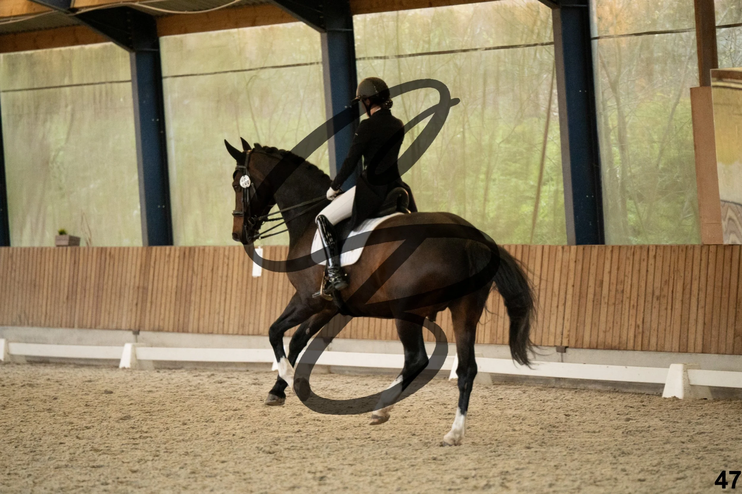 2026.03.22 - niv5 - saint georges-47.jpg