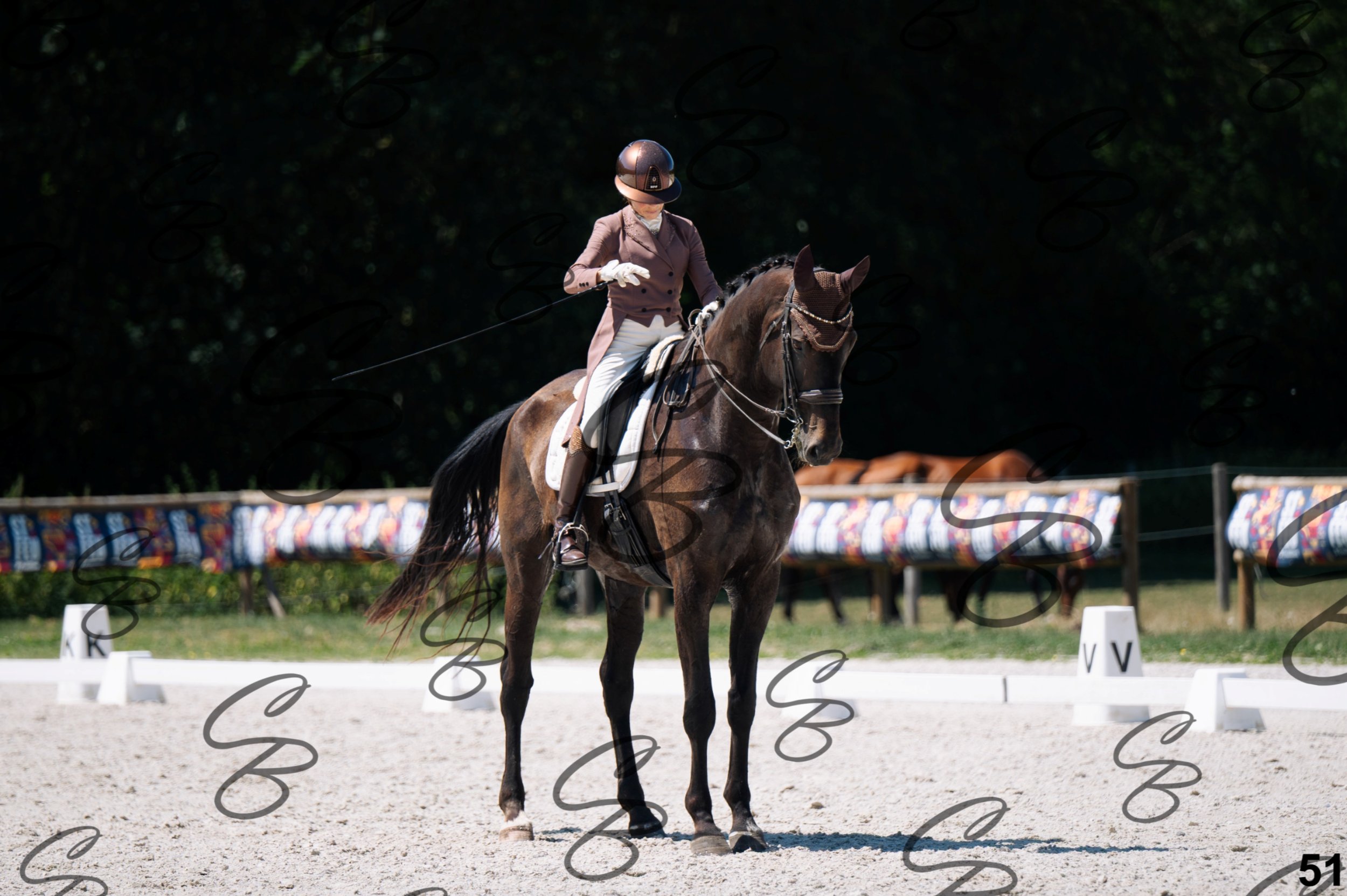 2026.07.12 - Niveau 5 - S3-51.jpg