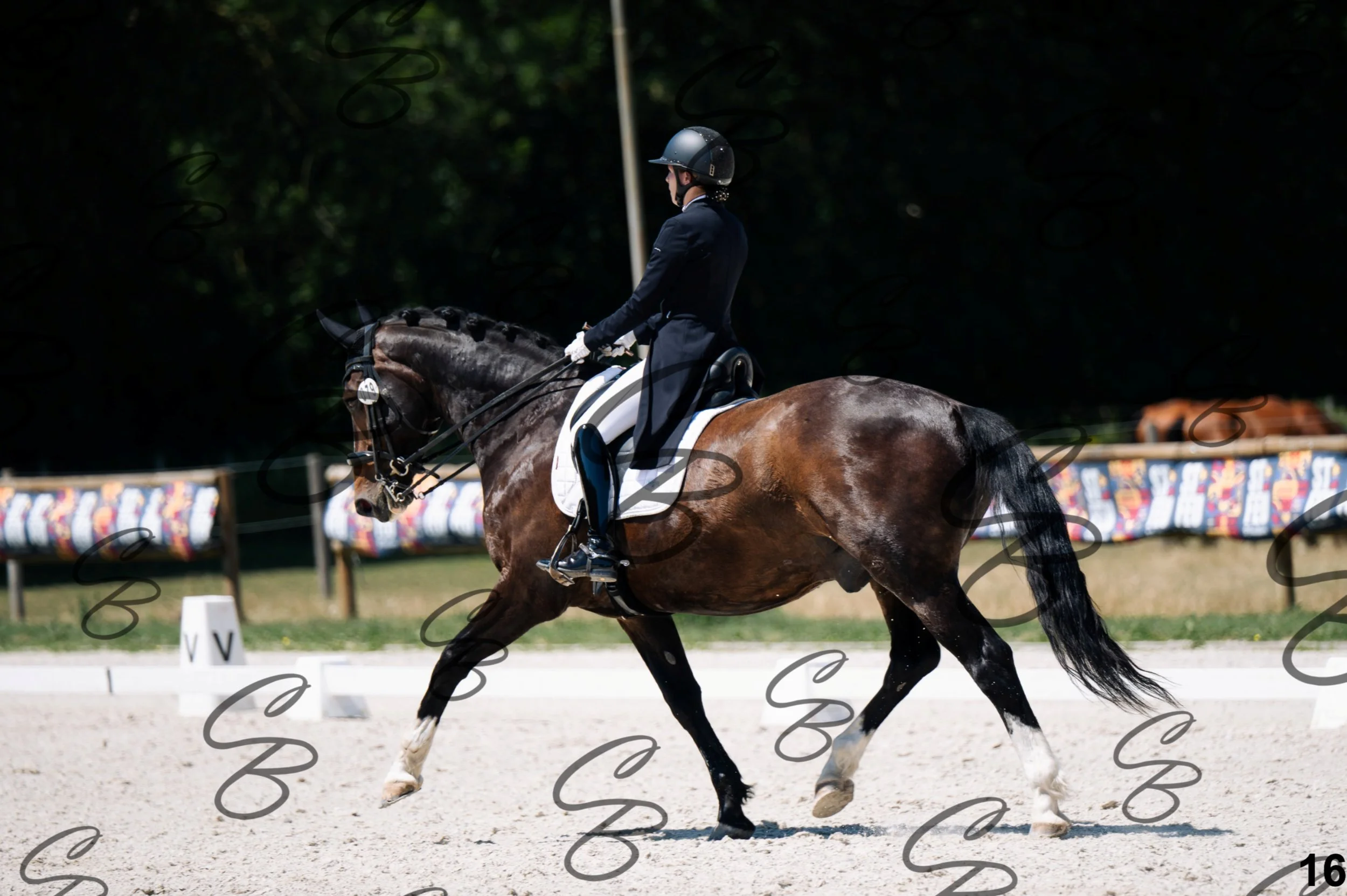 2026.07.12 - Niveau 5 - S3-16.jpg