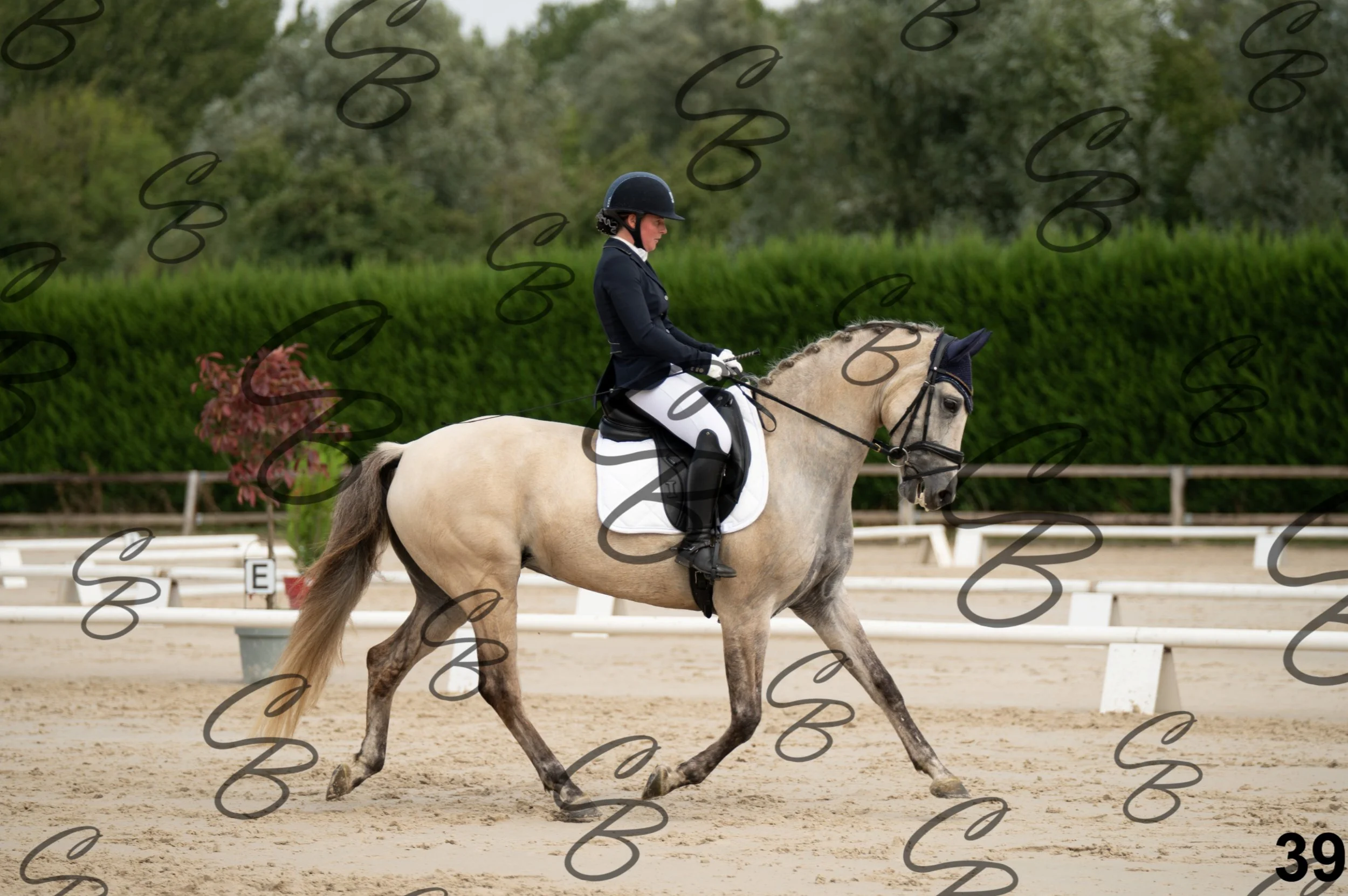 2026.09.20 - Djessy-39.jpg