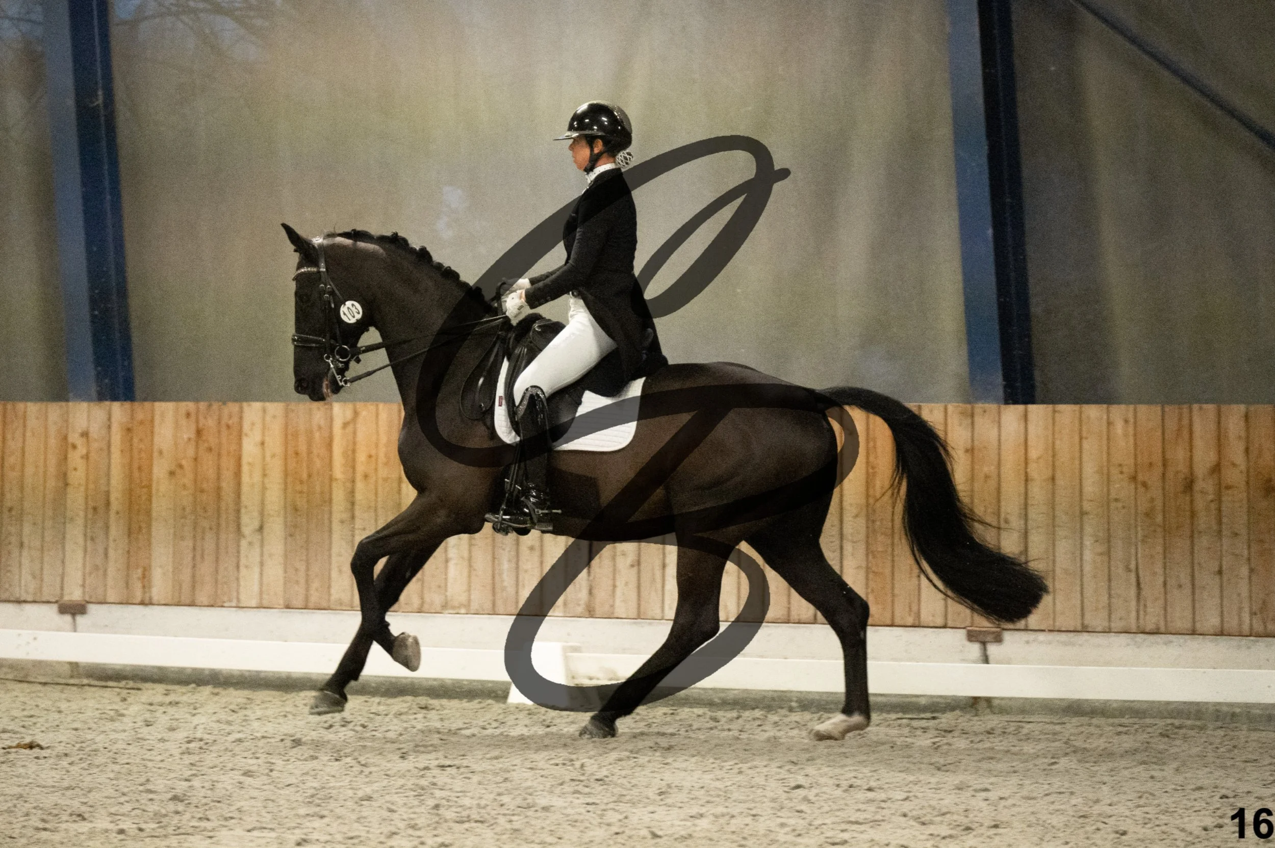 2026.03.22 - niv6 - Inter 1-16.jpg