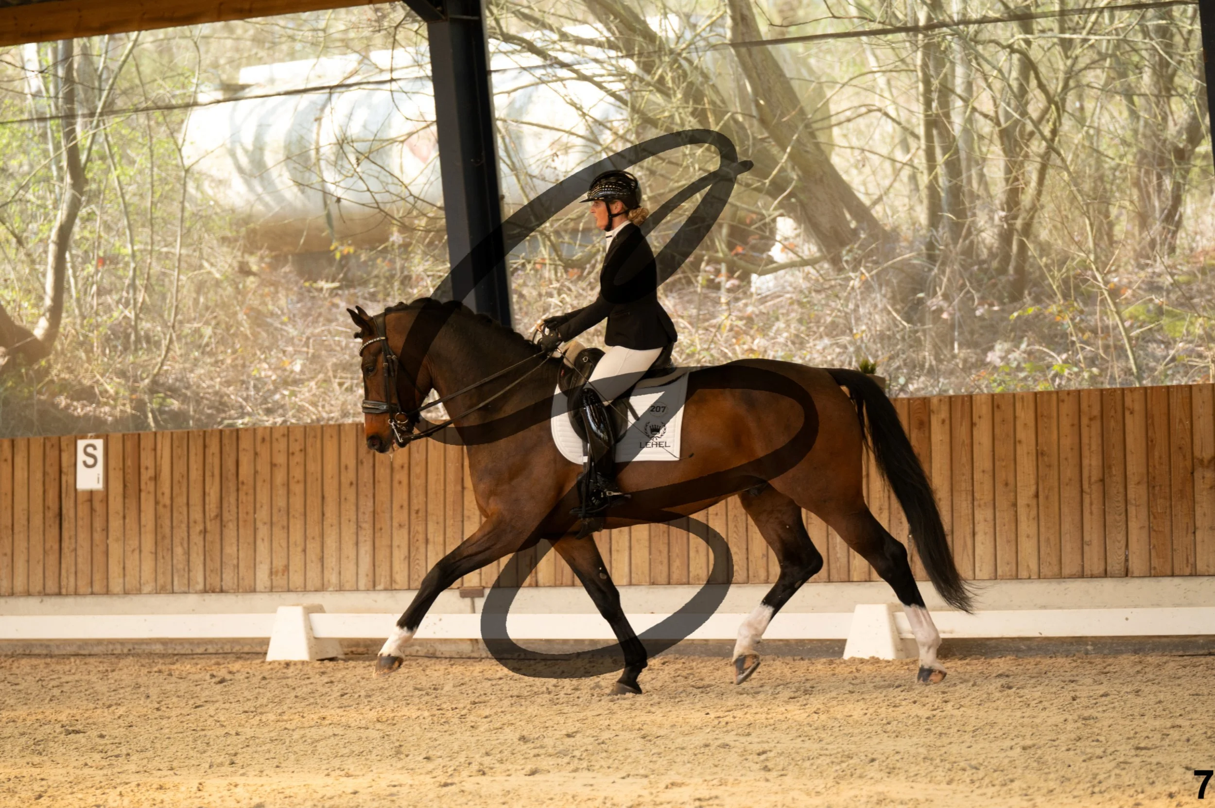 2026.03.22 - Grade 5 - grand prix test A-7.jpg