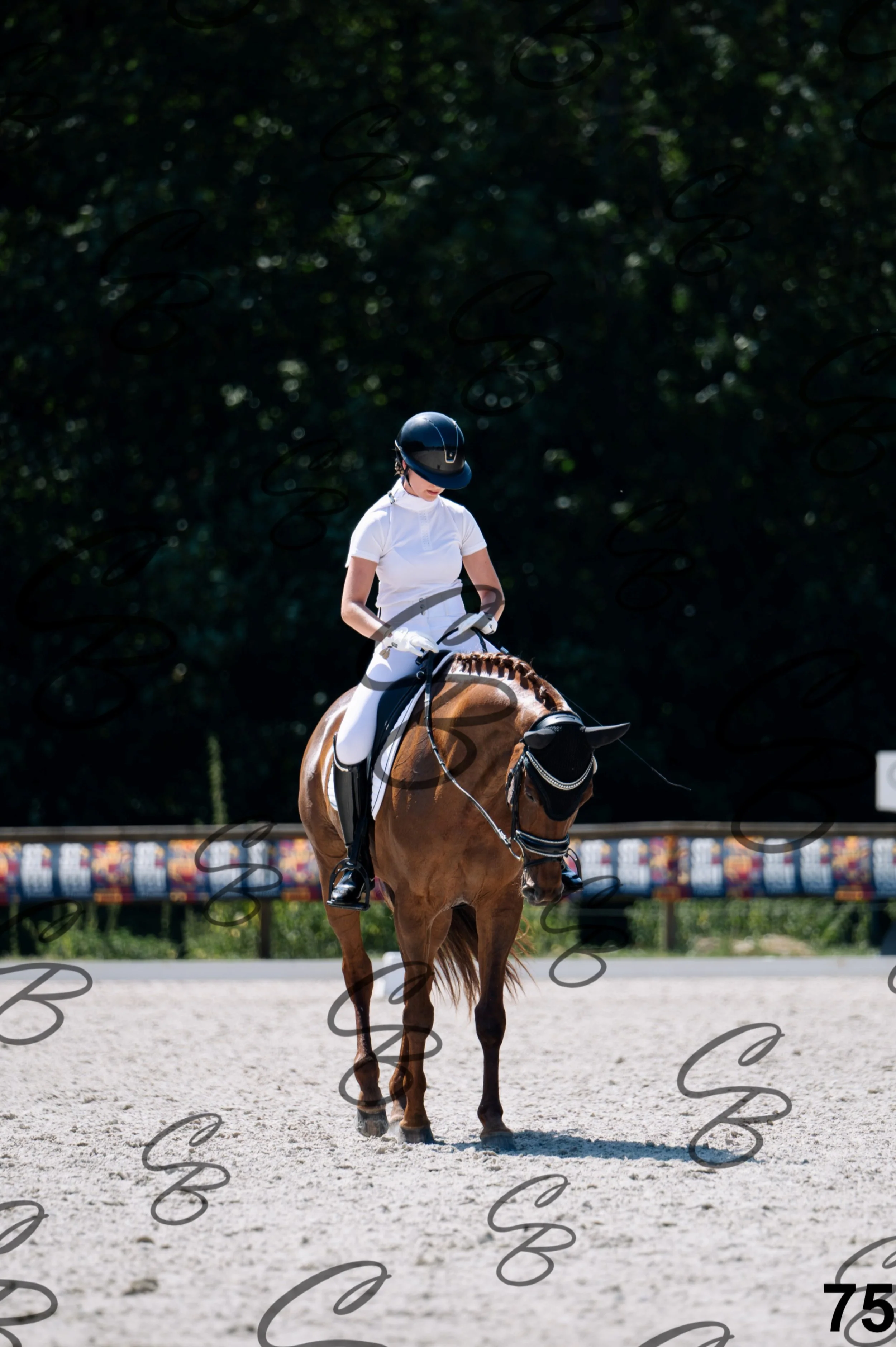 2026.07.12 - Niveau 2 - N2.4-75.jpg
