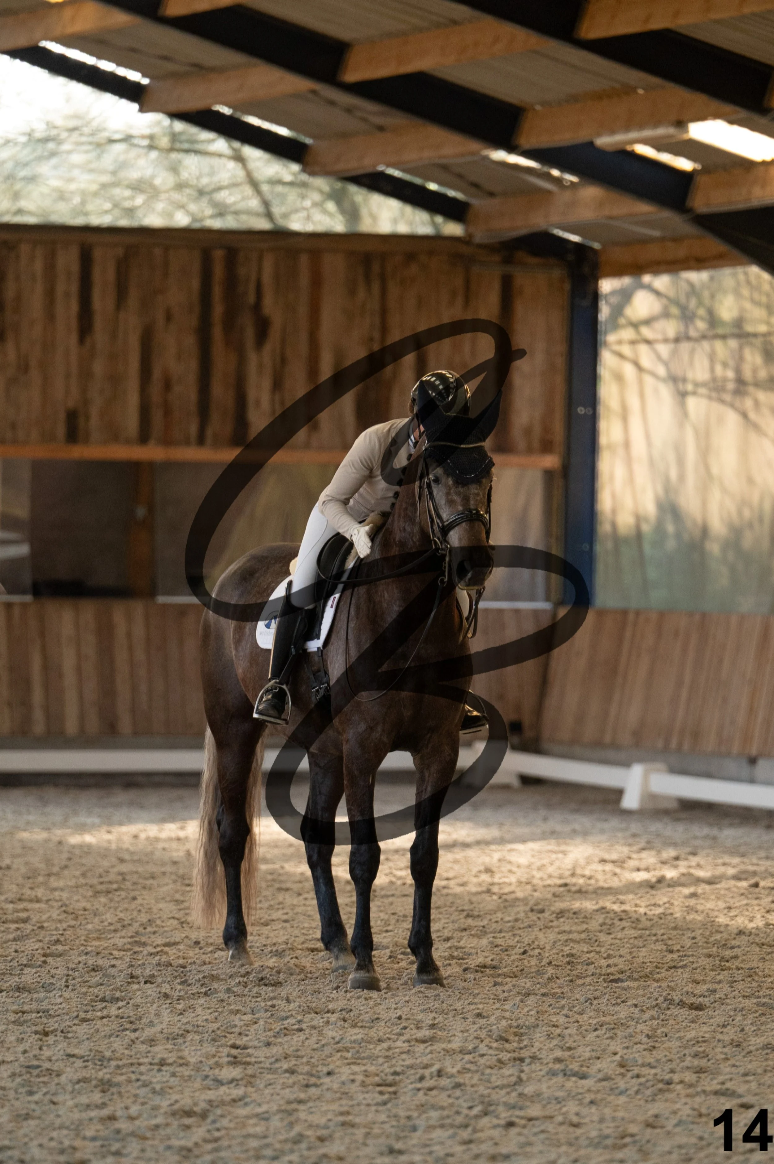 2026.03.22 - niv4.2-14.jpg