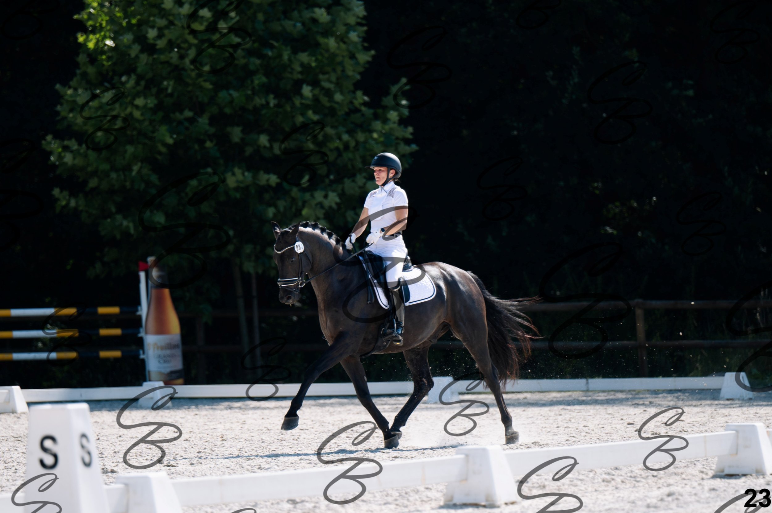 2026.07.12 - Jeunes chevaux - FEI 5YH Preliminary Test-23.jpg