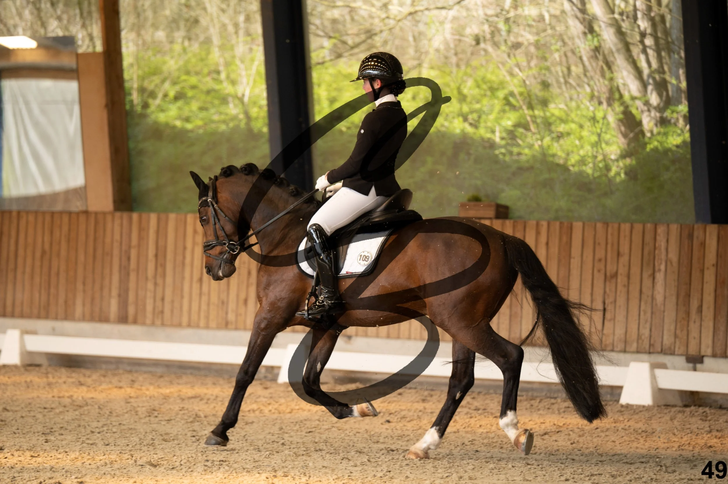 2026.03.22 - Niv3 - pony team test-49.jpg