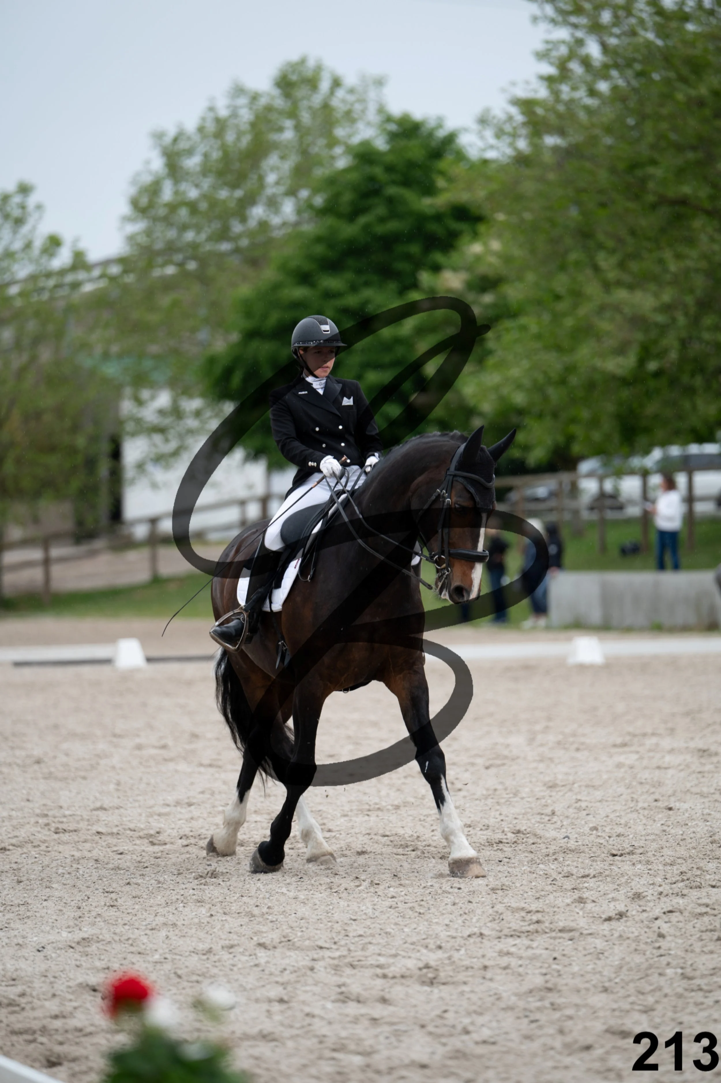 03052026-FLE_7051.jpg