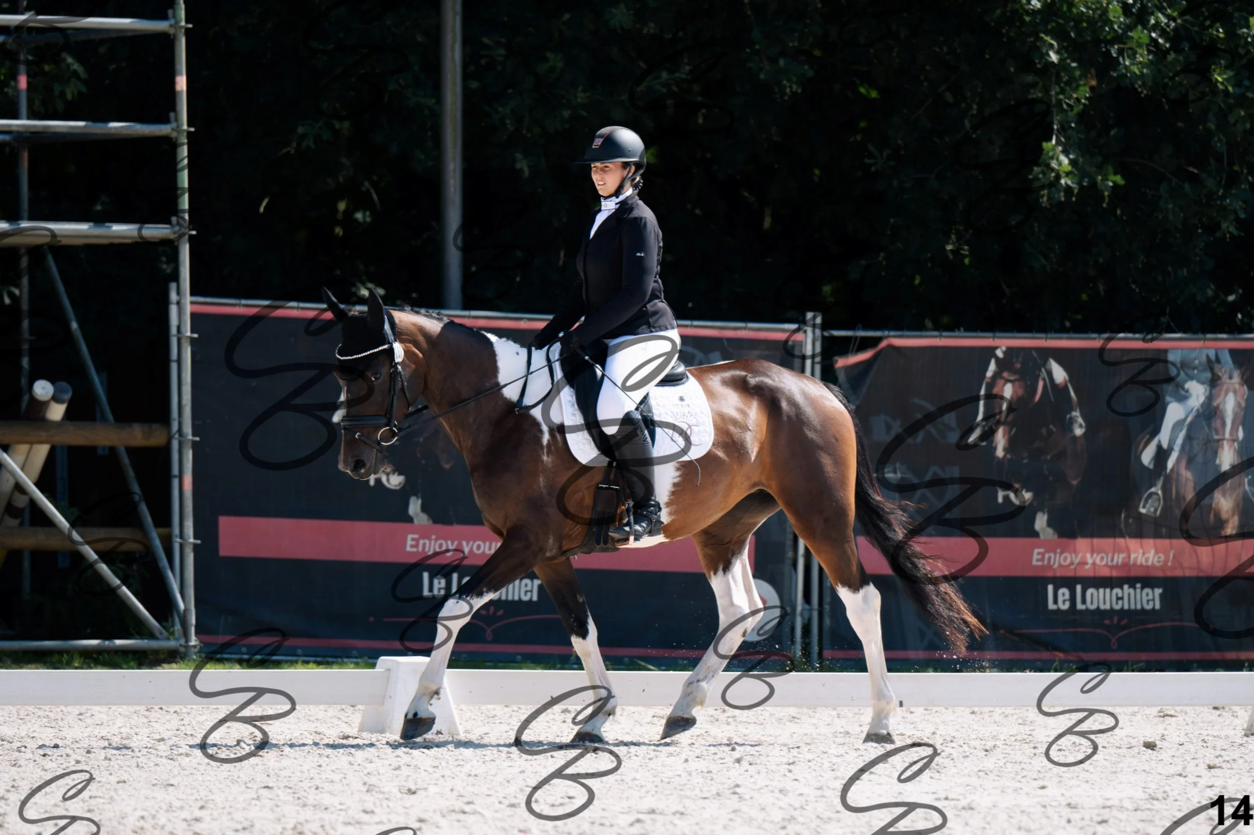 2026.07.12 - Jeunes chevaux - FEI 4YH Final Test-14.jpg