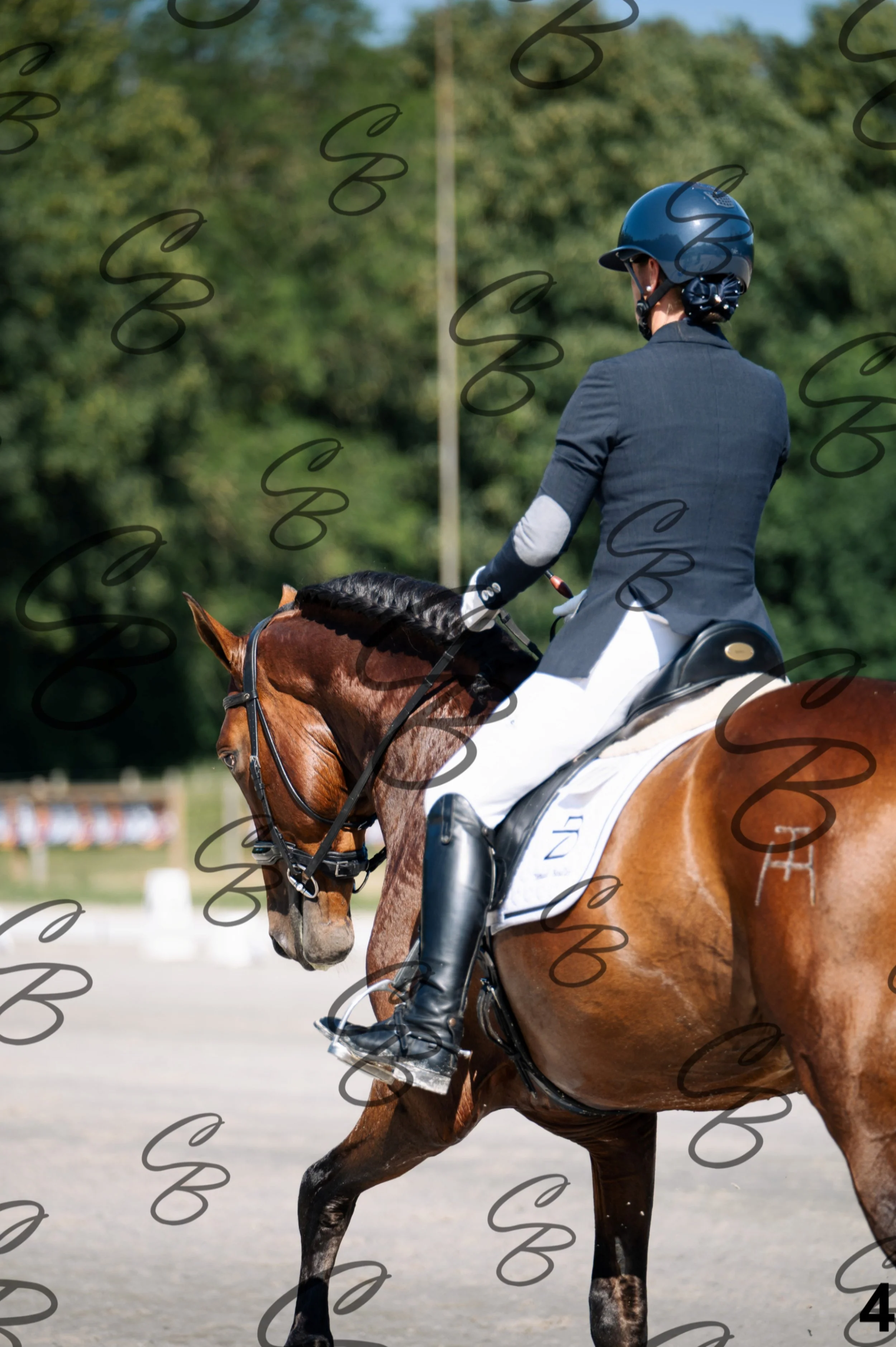 2026.07.11 - 1 Primera - Jonge paarden - Jeunes chevaux -4.jpg