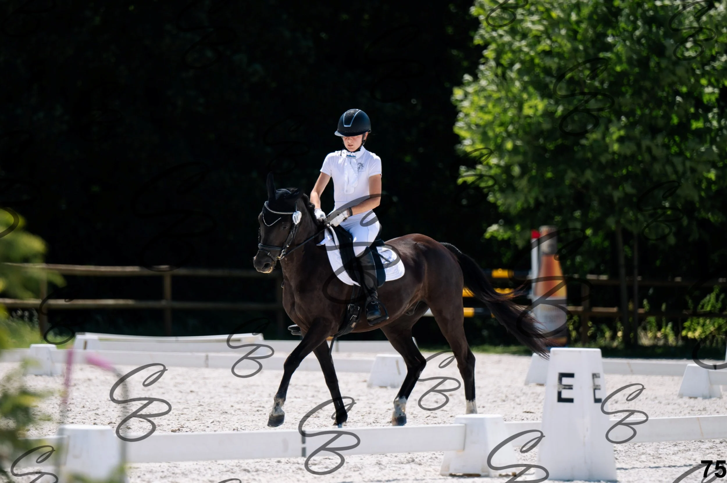 2026.07.12 - Niveau 1 - N1.5-75.jpg