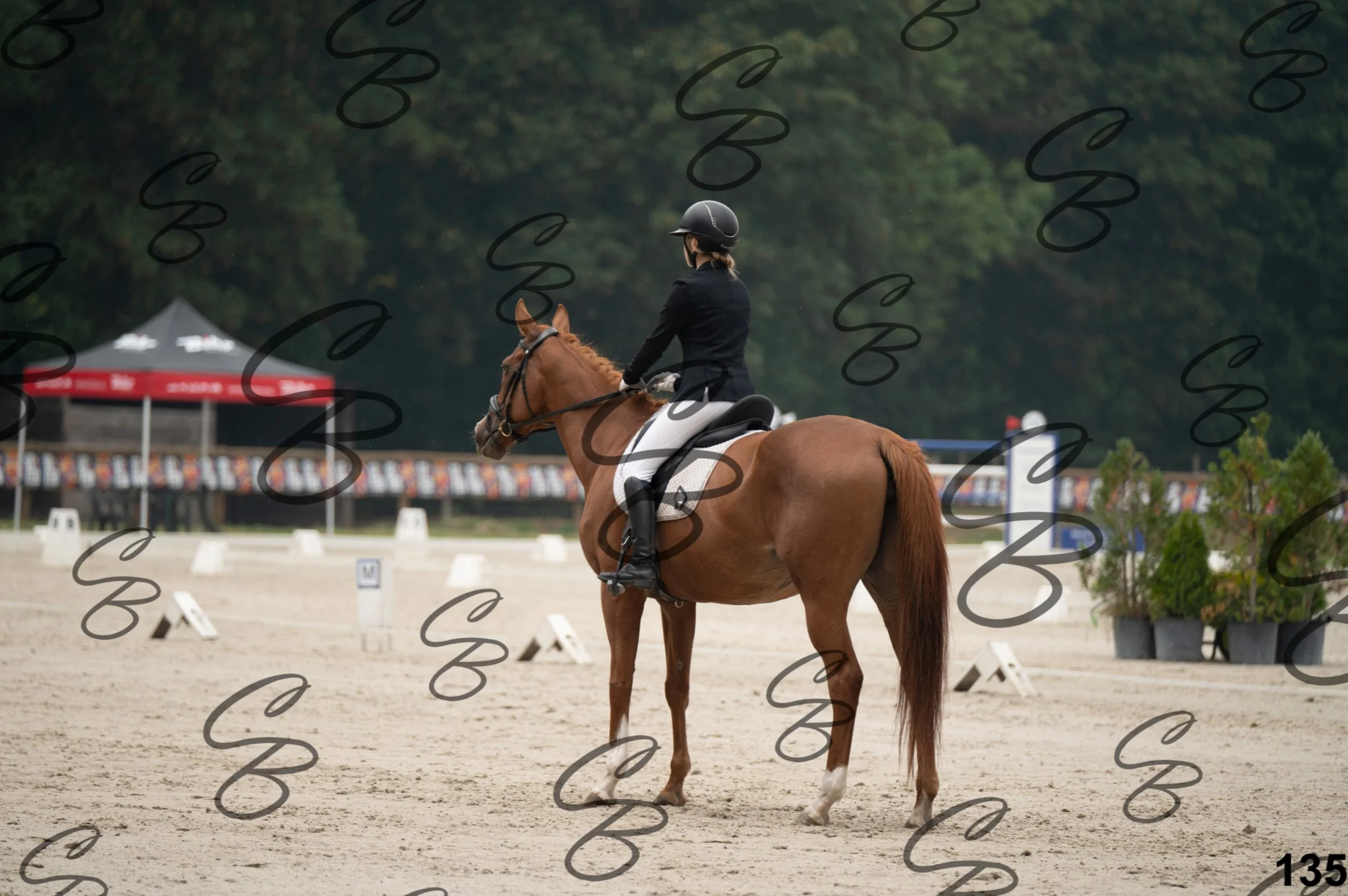 2026.08.15 - Louchier - GHO-211.jpg