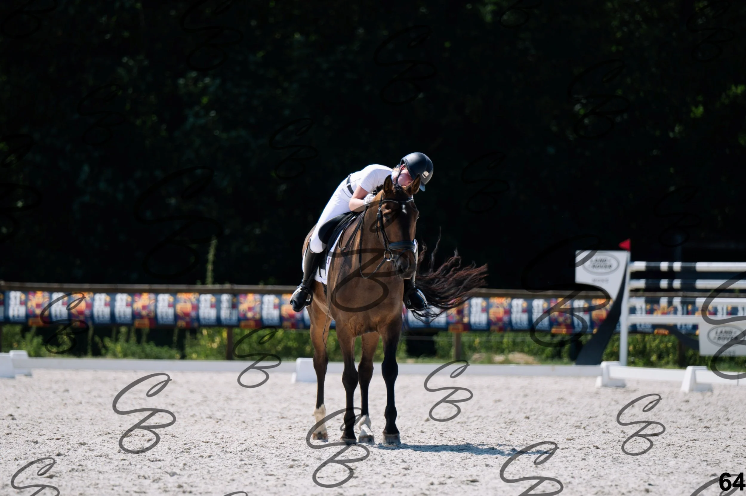 2026.07.12 - Niveau 2 - N2.4-64.jpg