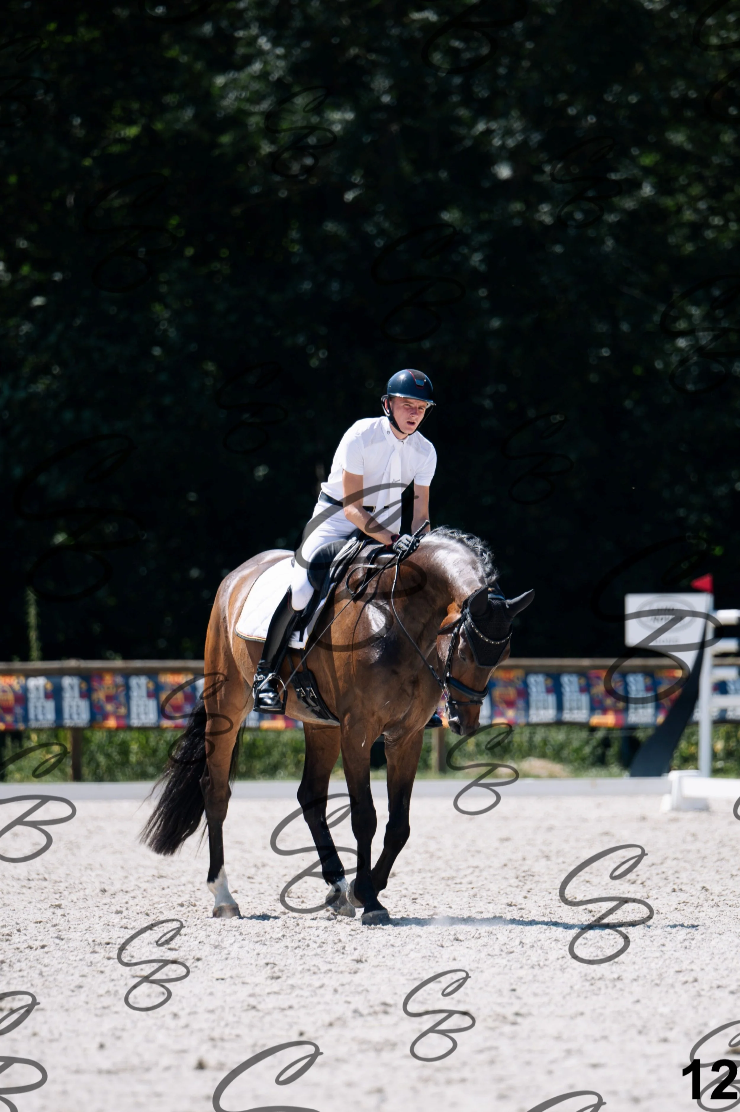 2026.07.12 - Jeunes chevaux - FEI 6YH Preliminary Test-12.jpg