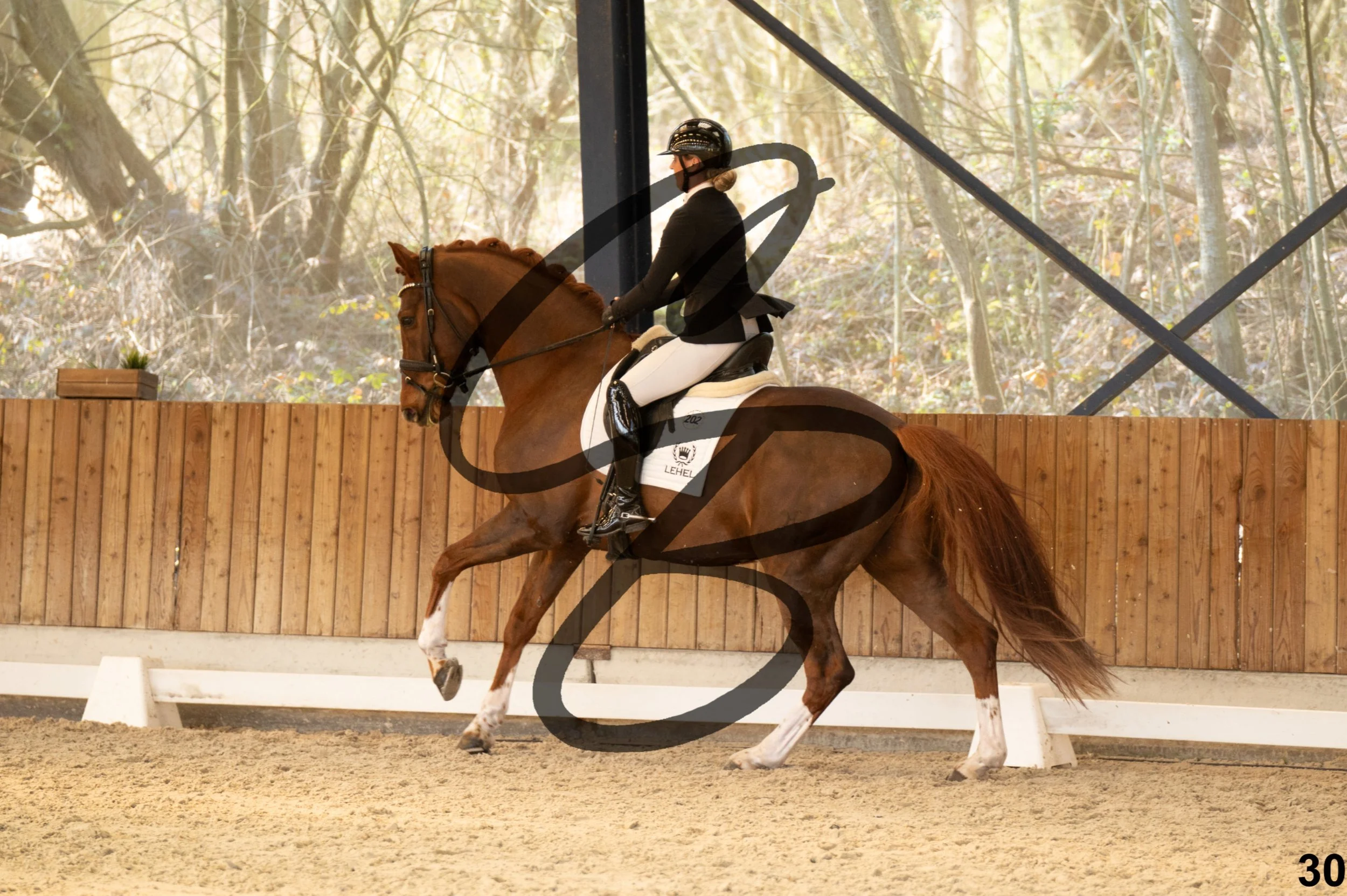 2026.03.22 - Grade 5 - grand prix test B-30.jpg