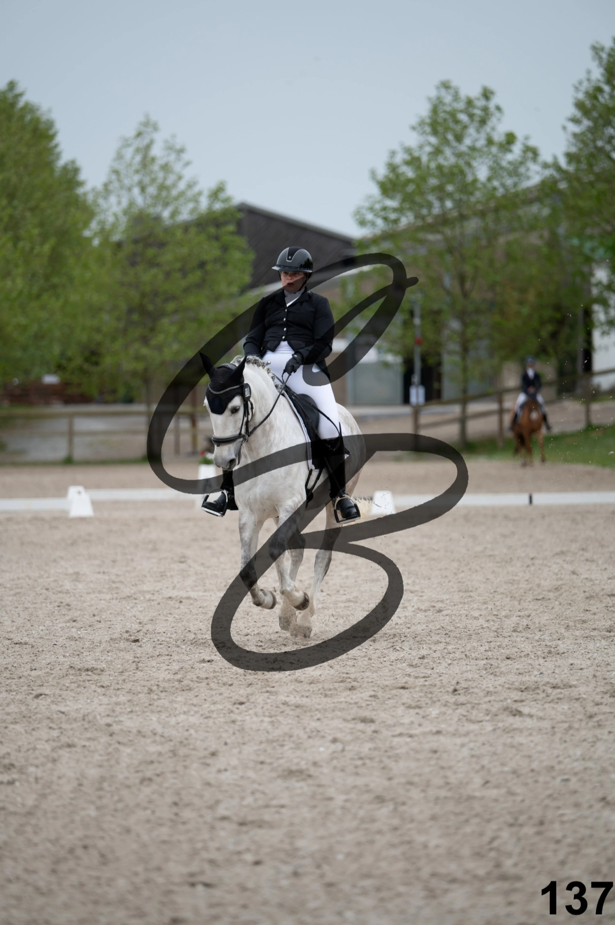 03052026-FLE_6746.jpg