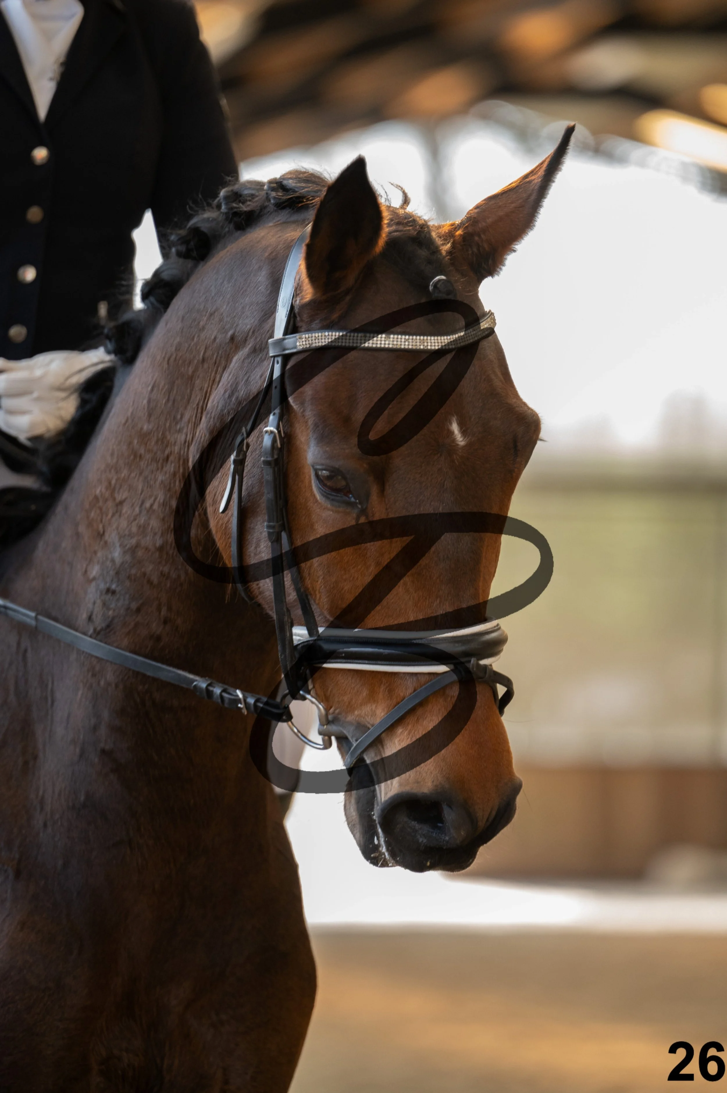 2026.03.22 - Grade 5 - intermediate test A&B-26.jpg