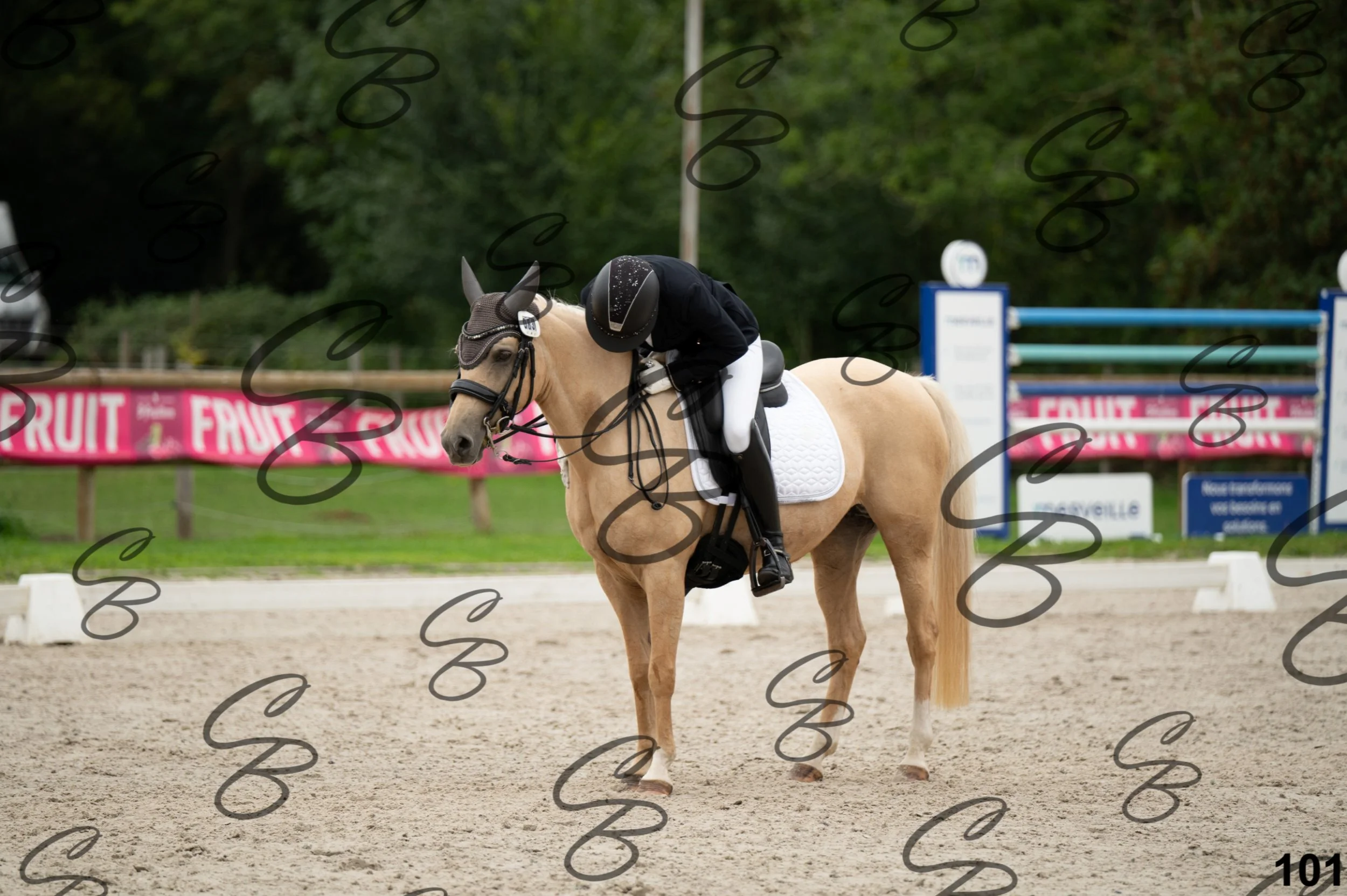 2026.09.13 - Alyssia-101.jpg
