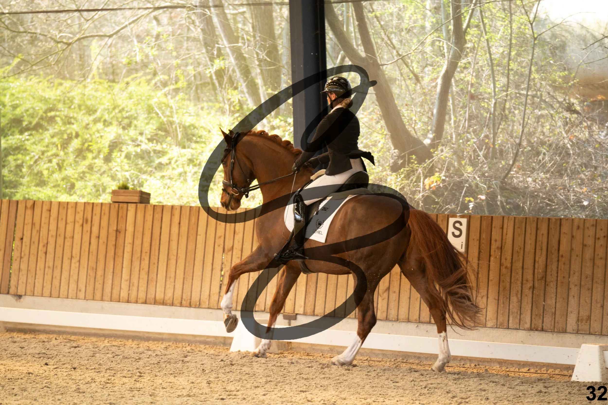 2026.03.22 - Grade 5 - grand prix test B-32.jpg