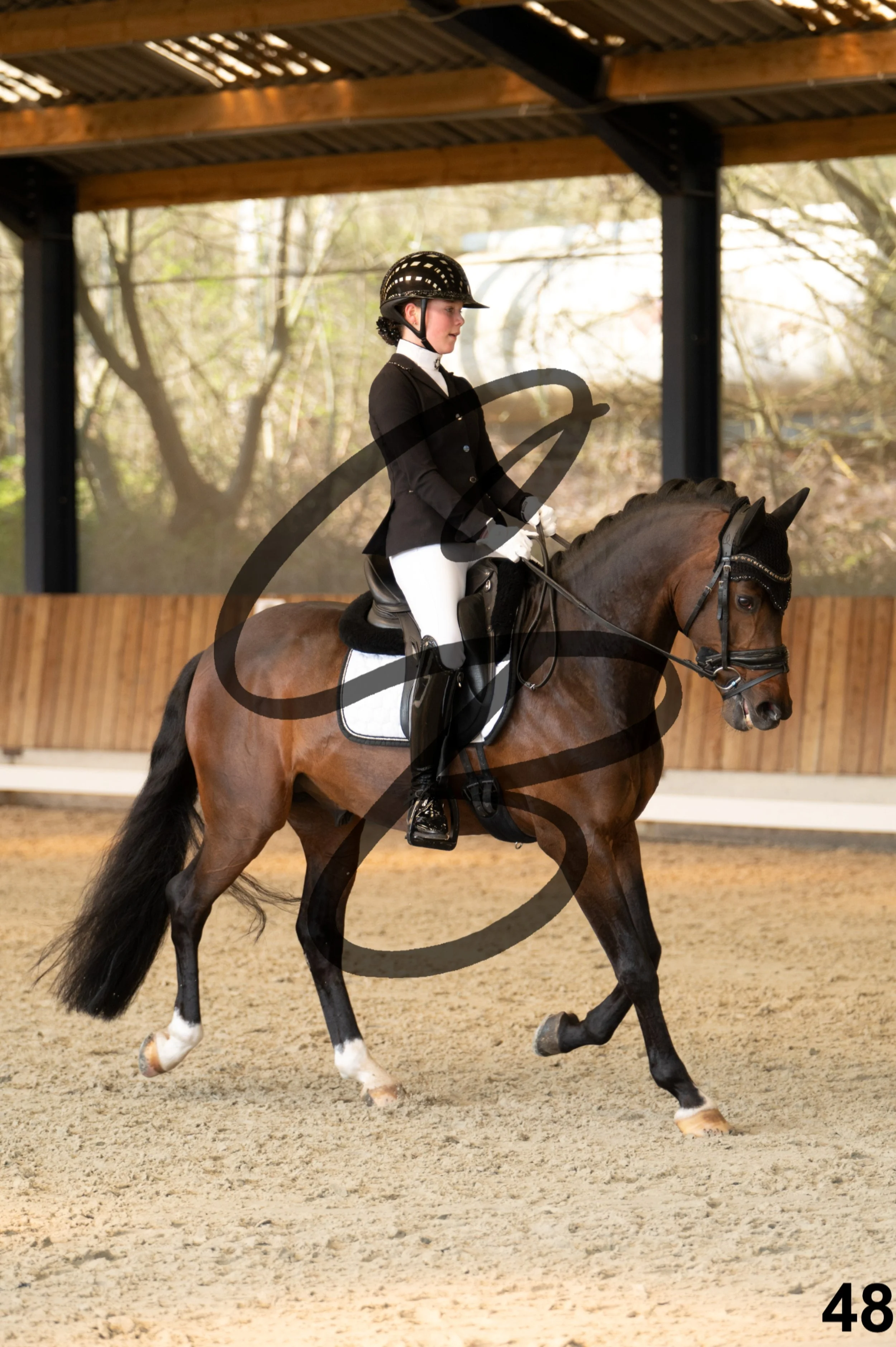 2026.03.22 - Niv3 - pony team test-48.jpg