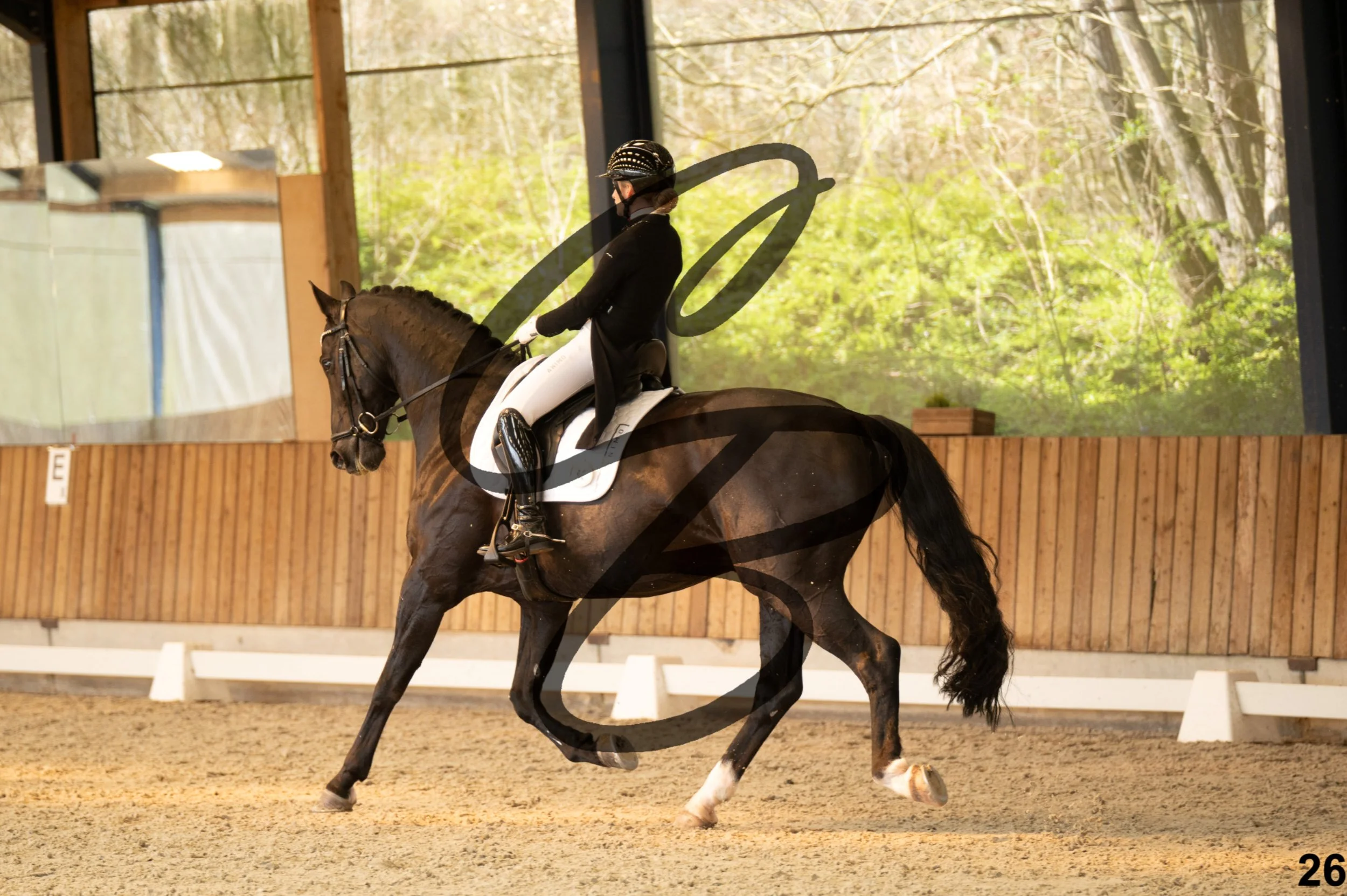 2026.03.22 - Niv5 - Young rider team-26.jpg