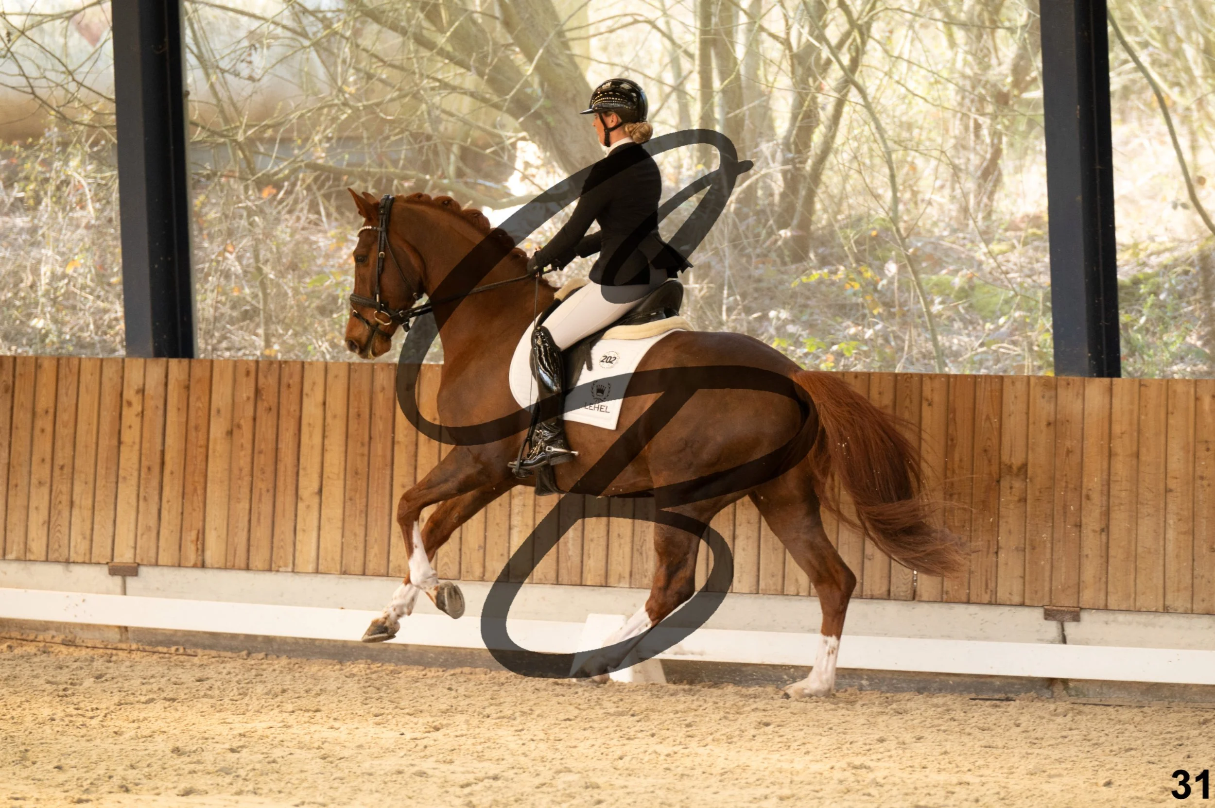 2026.03.22 - Grade 5 - grand prix test B-31.jpg