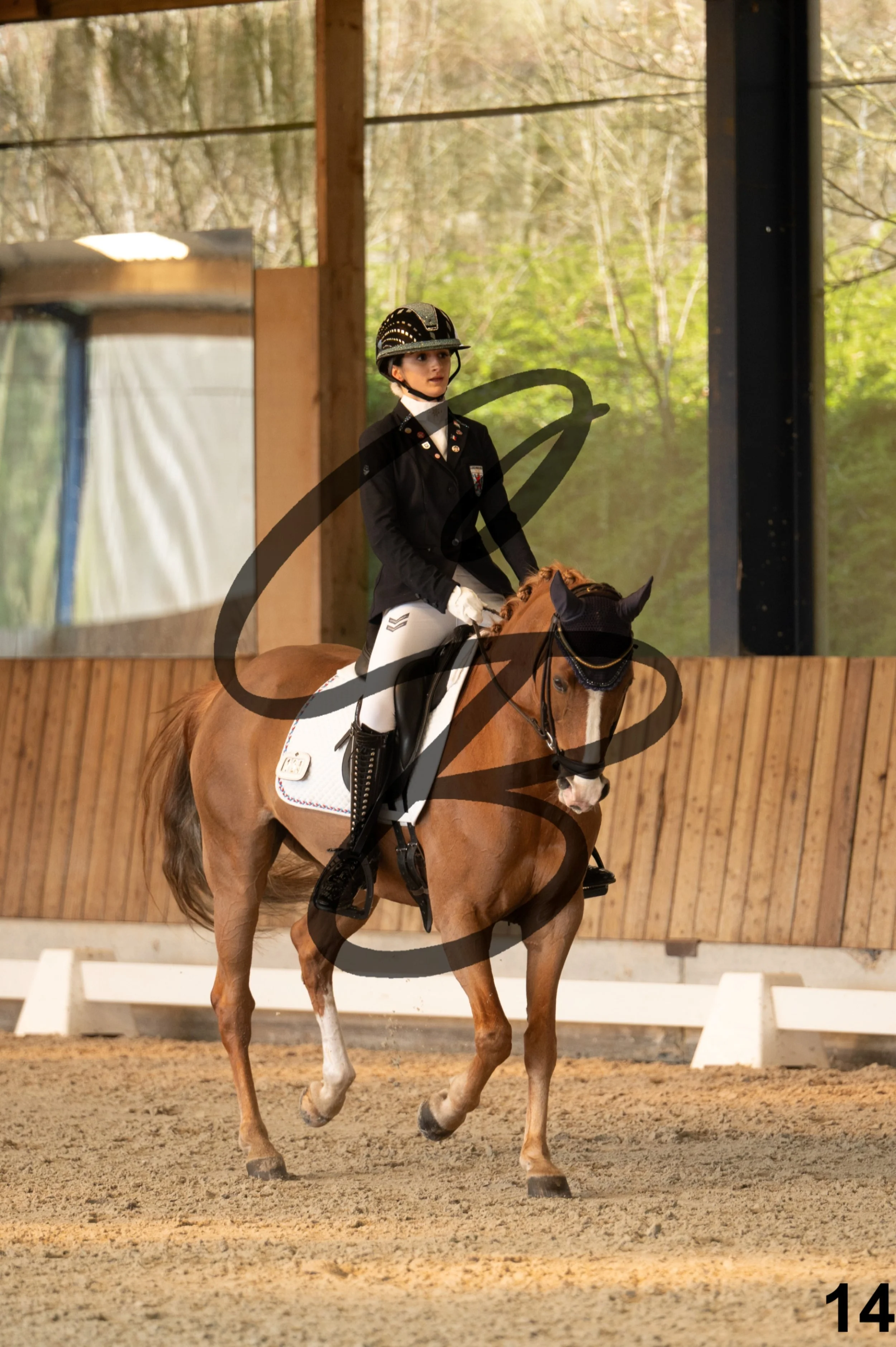 2026.03.22 - Niv3 - pony team test-14.jpg