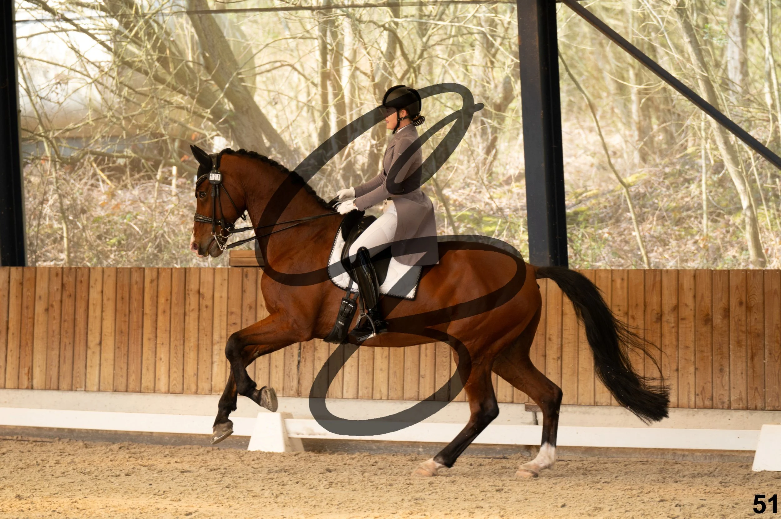 2026.03.22 - Niv5 - Young rider team-51.jpg