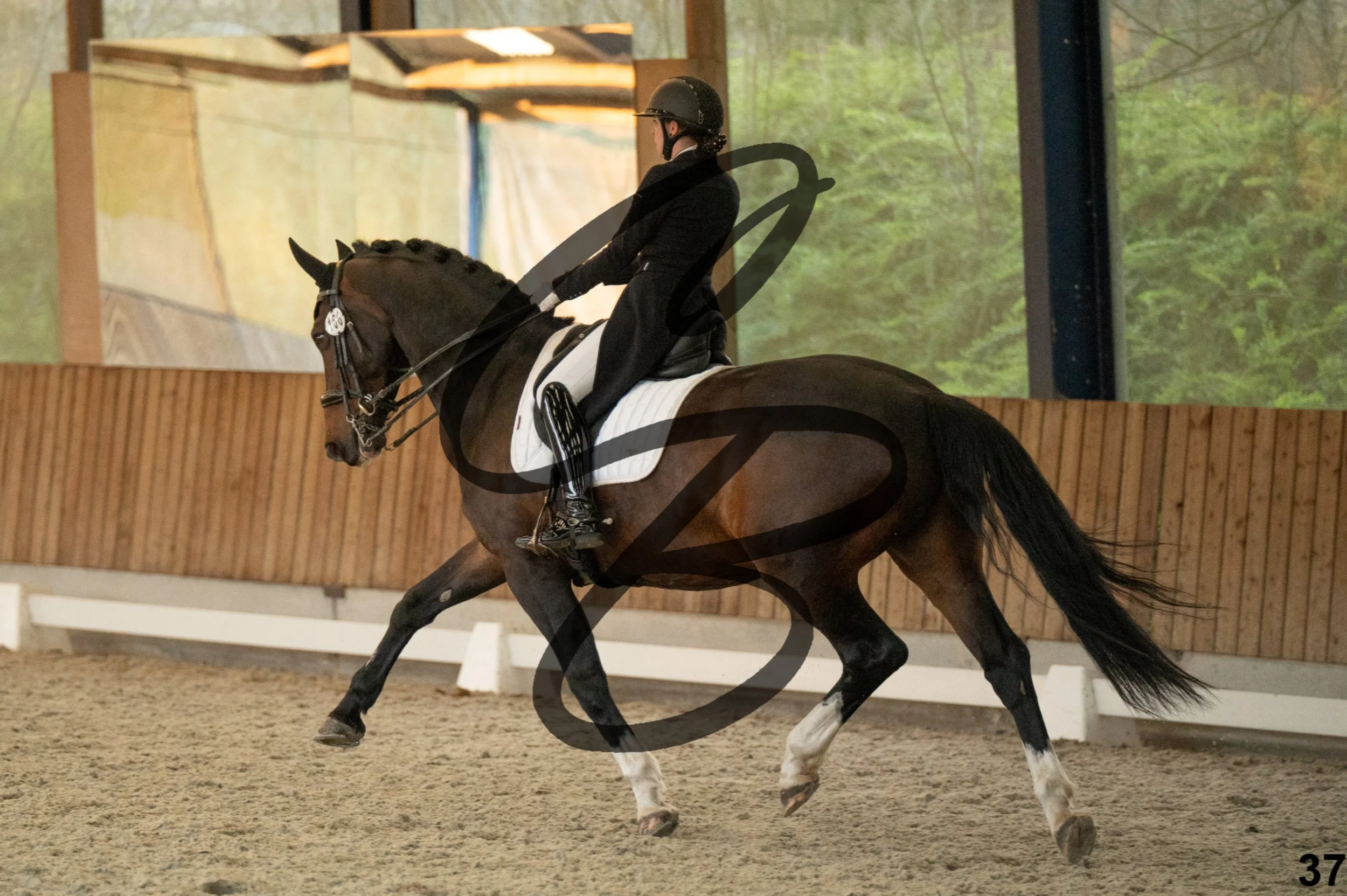 2026.03.22 - niv5 - saint georges-37.jpg