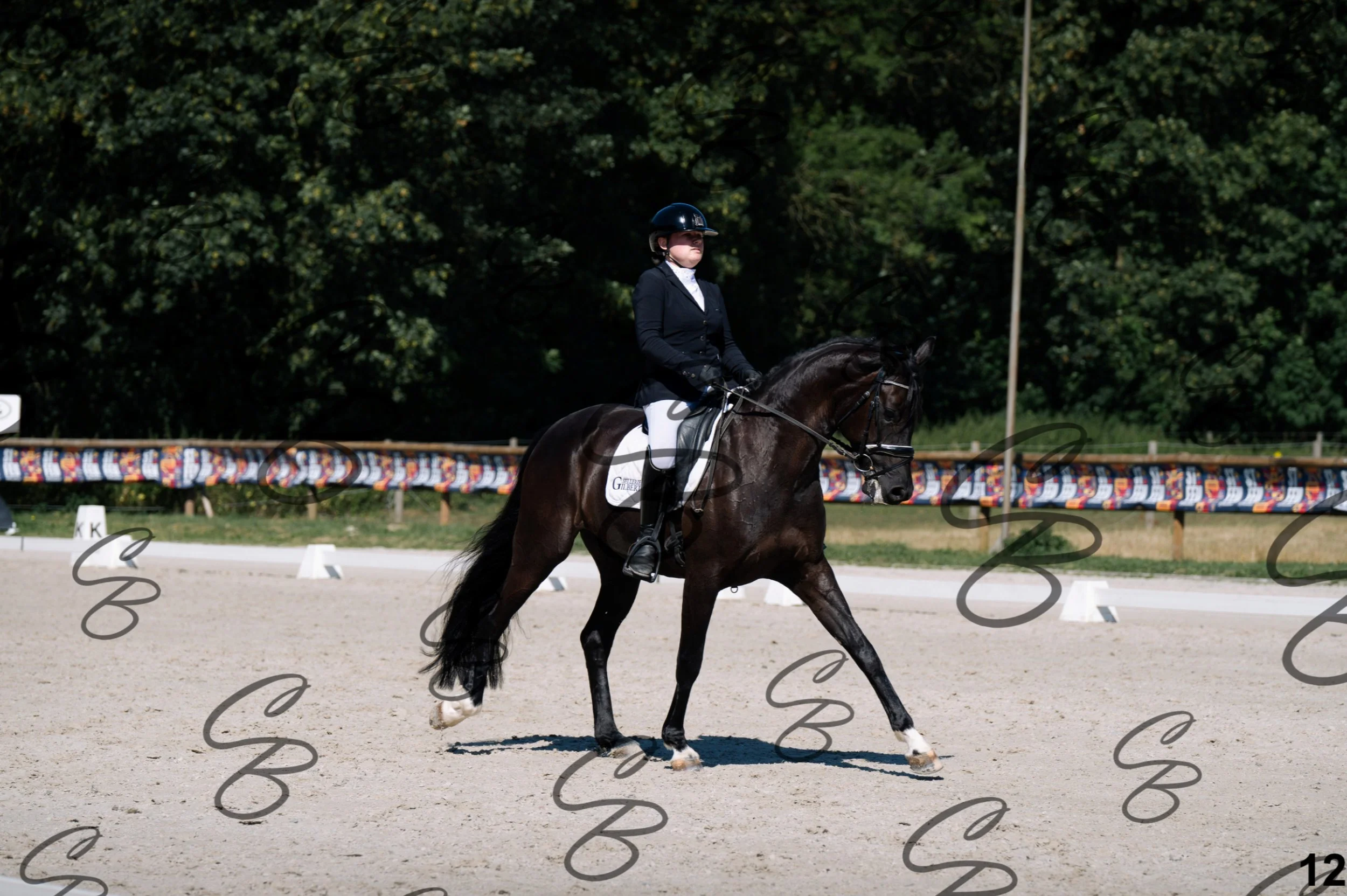 2026.07.12 - 21 Junior - Niveau 3 - FEI Junior Team Test-12.jpg
