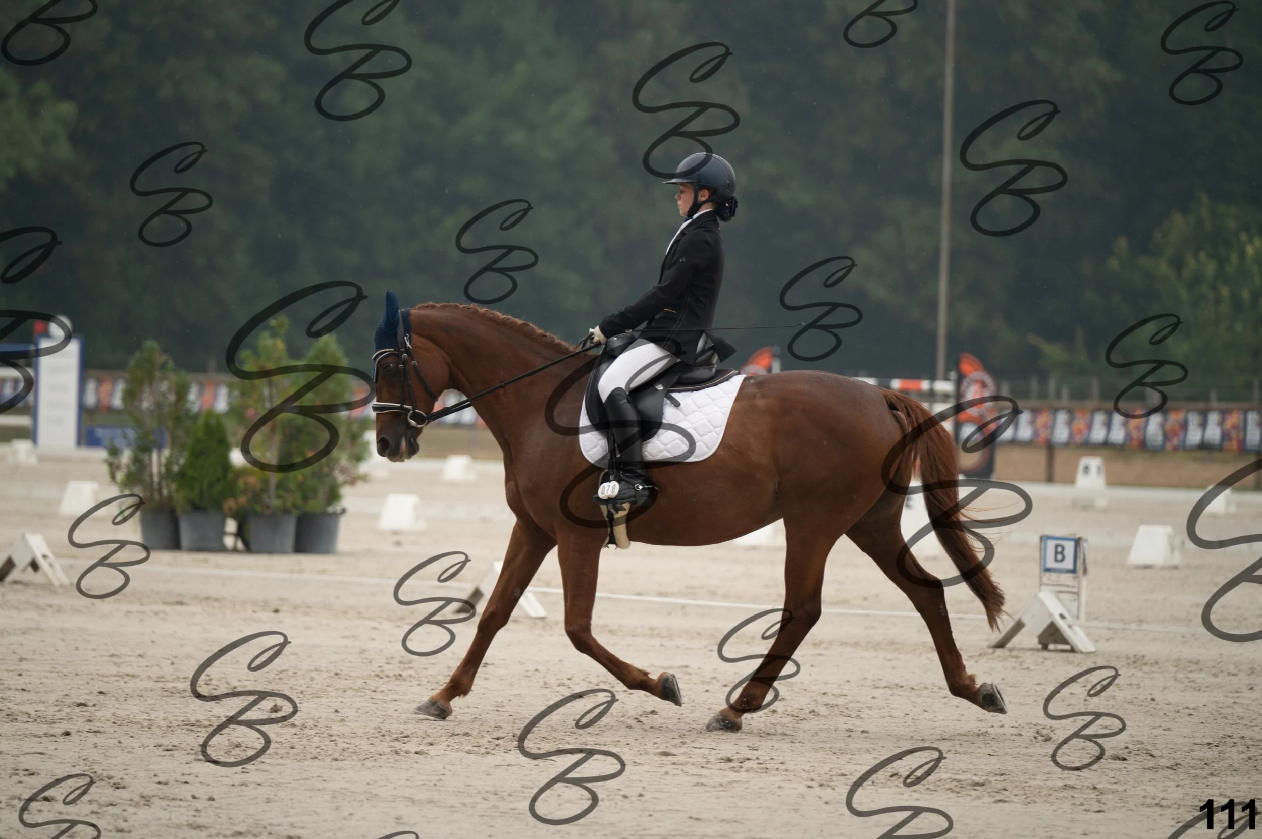 2026.08.15 - Louchier - GHO-156.jpg