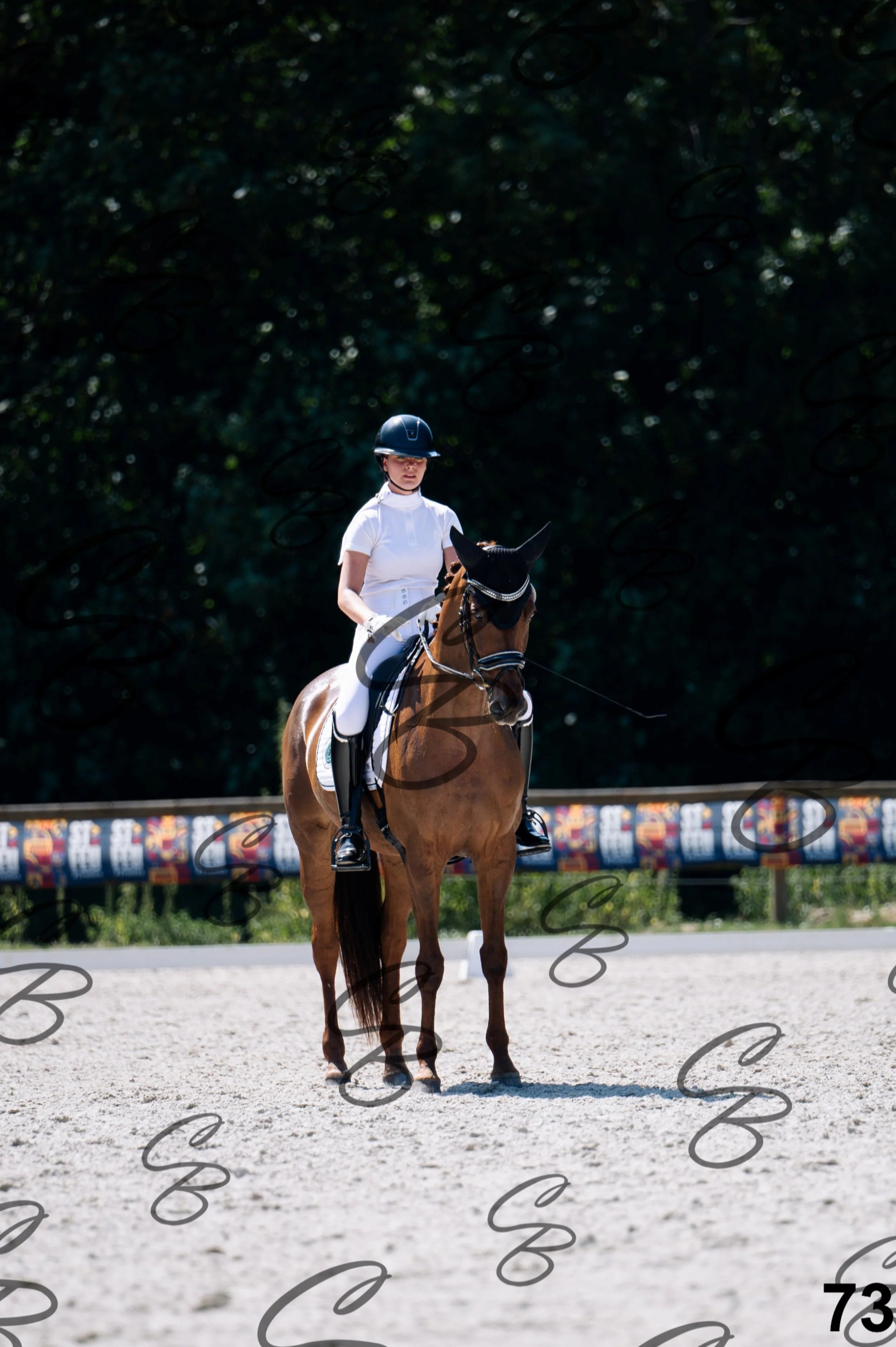 2026.07.12 - Niveau 2 - N2.4-73.jpg