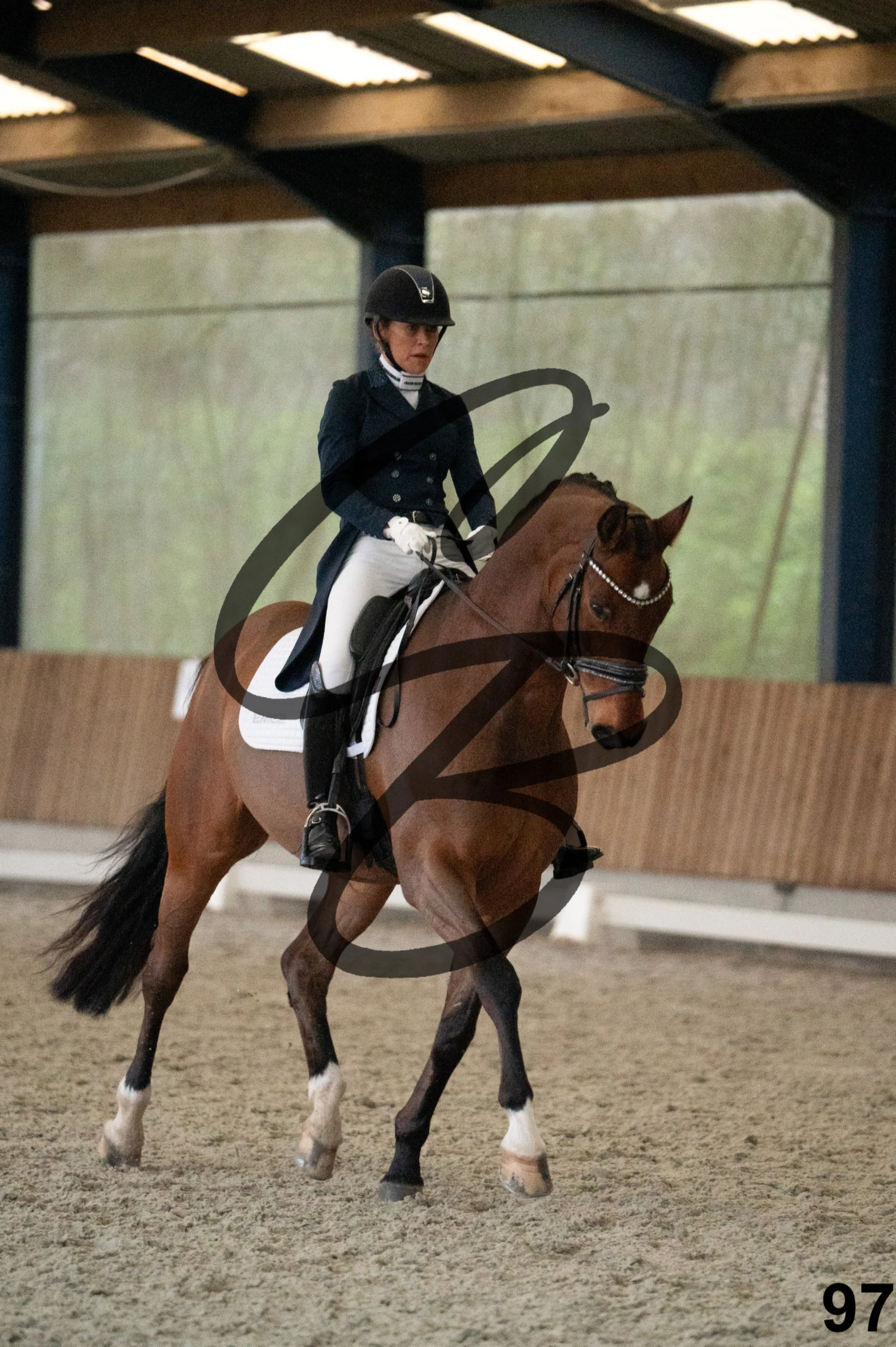 2026.03.22 - niv5 - saint georges-97.jpg