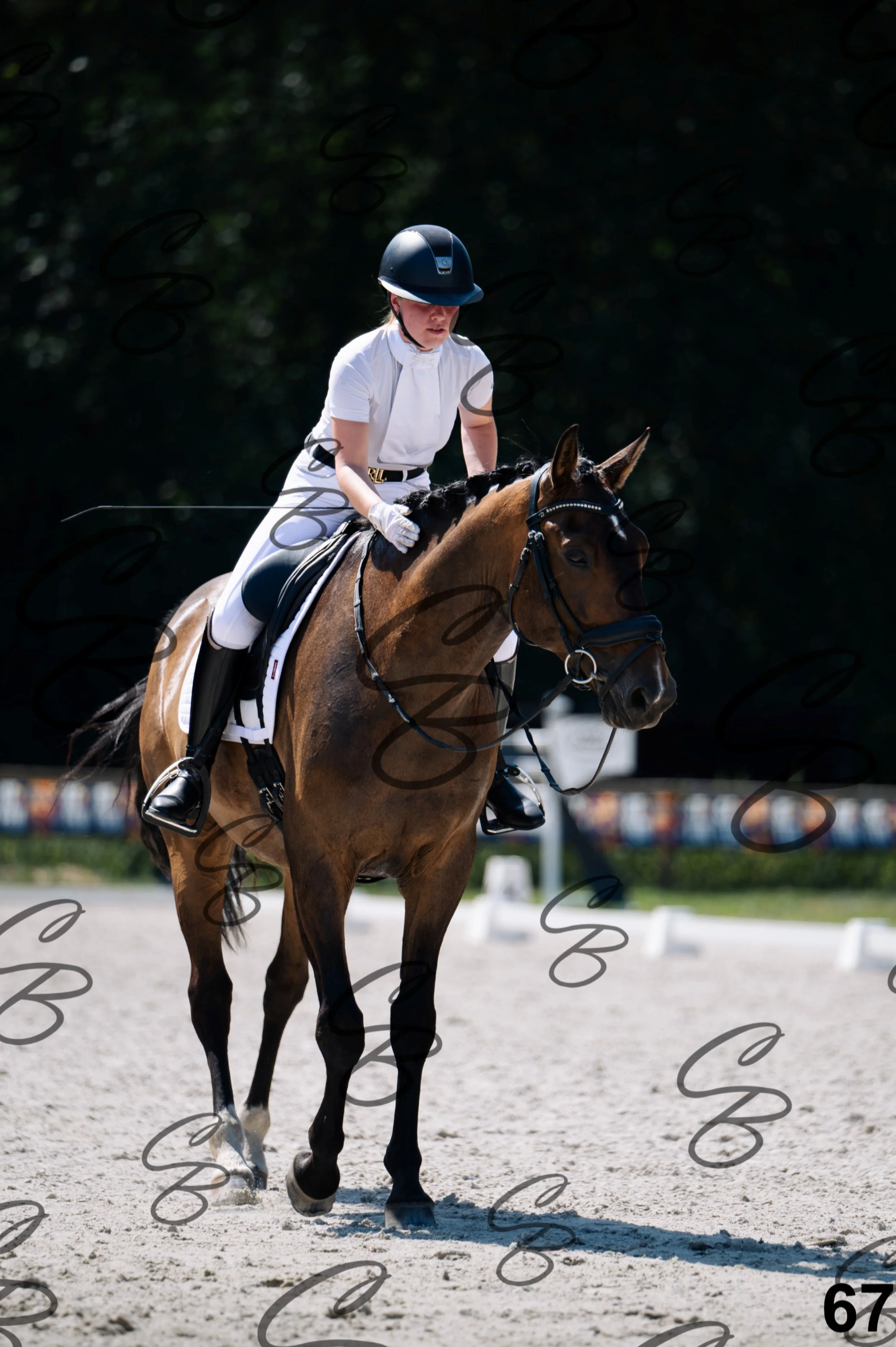 2026.07.12 - Niveau 2 - N2.4-67.jpg