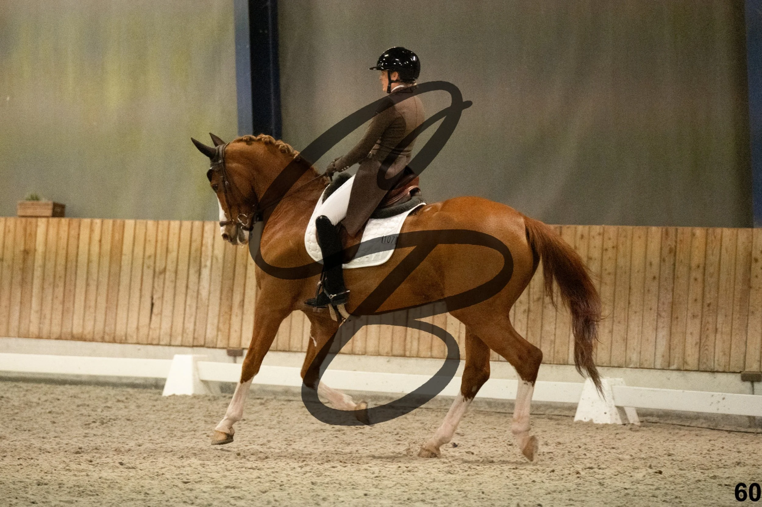 2026.03.22 - niv6 - Inter 1-60.jpg