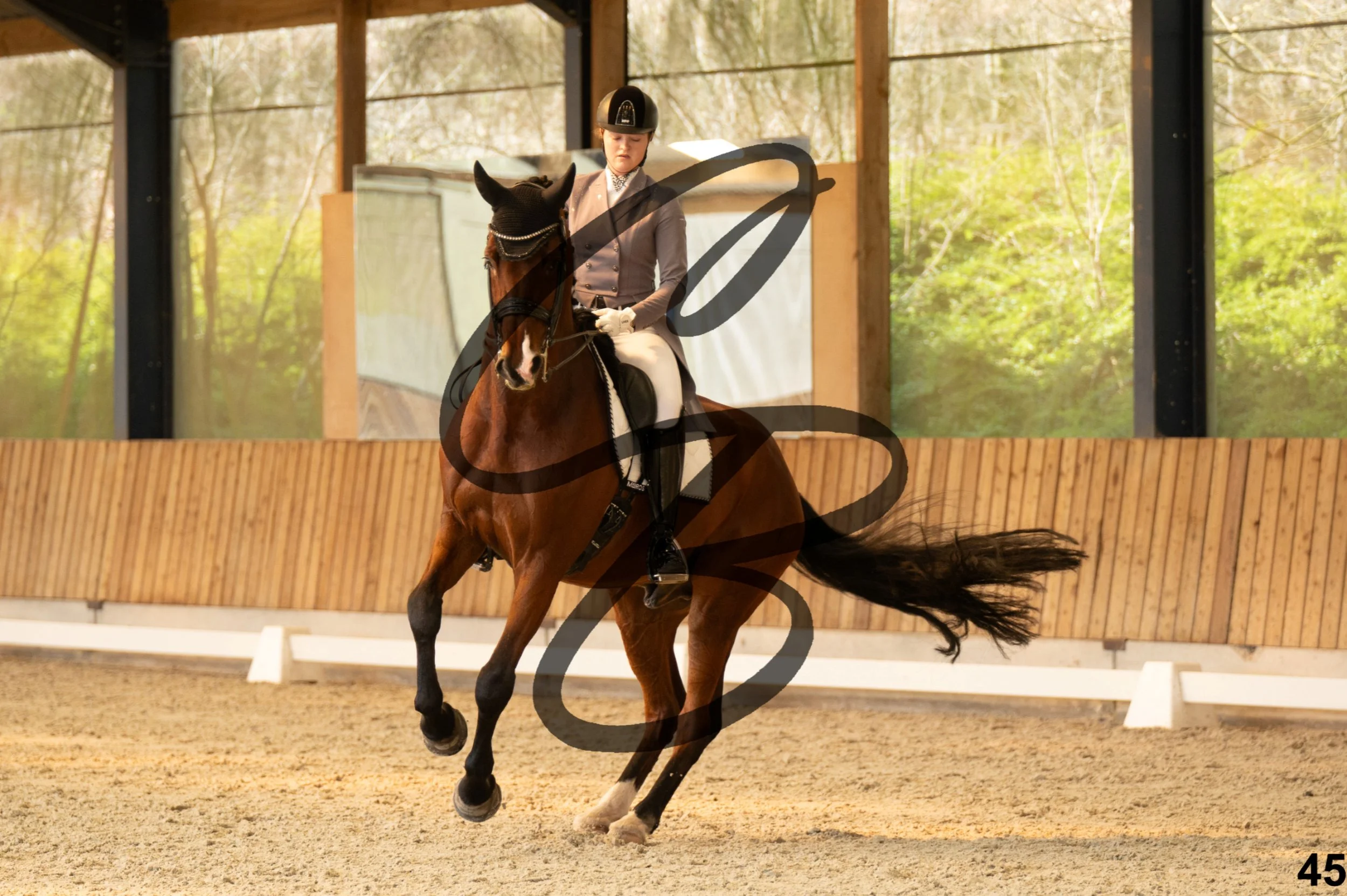 2026.03.22 - Niv5 - Young rider team-45.jpg