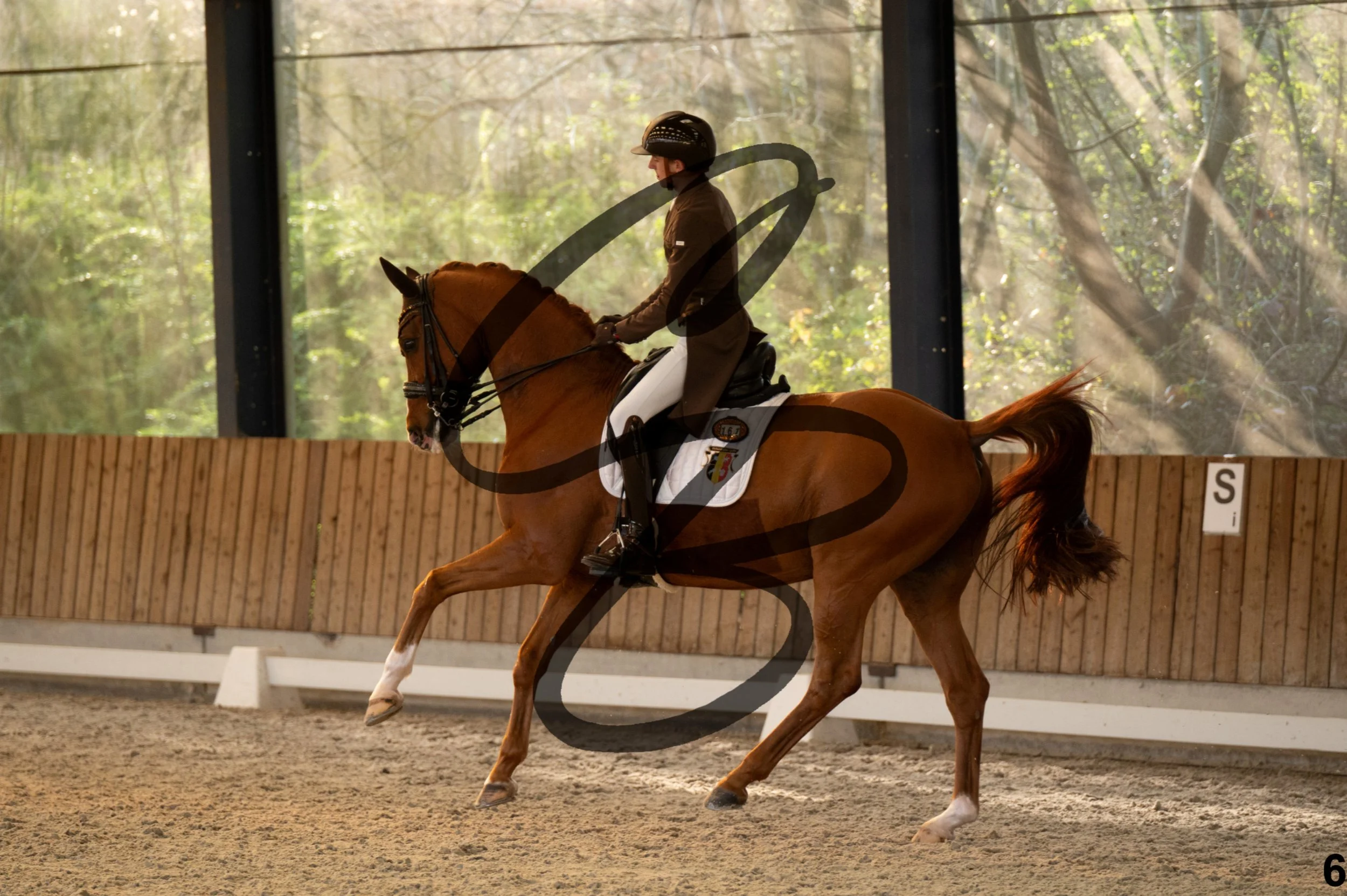 2026.03.22 - grand prix U25-6.jpg