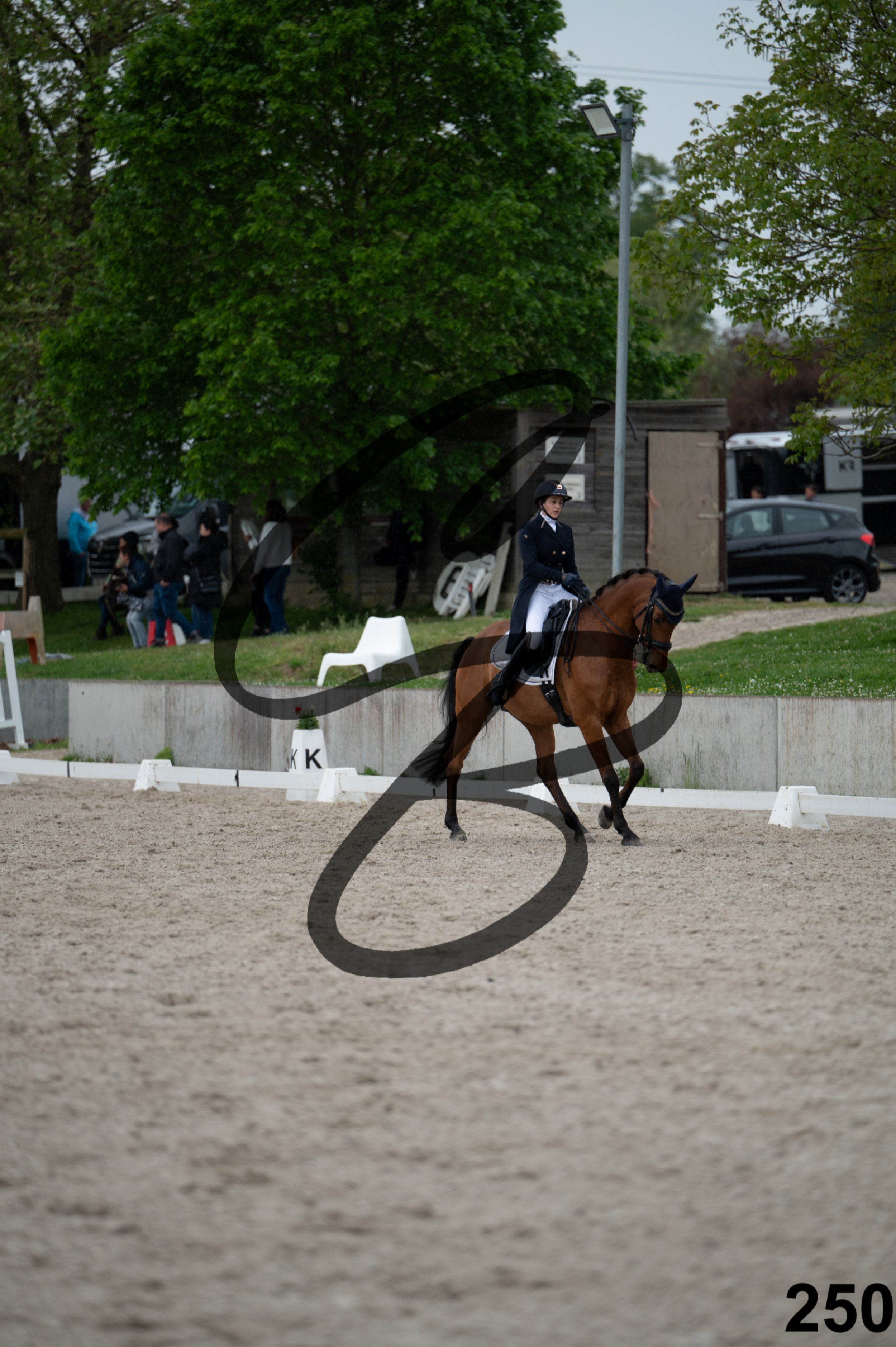 03052026-FLE_7244.jpg